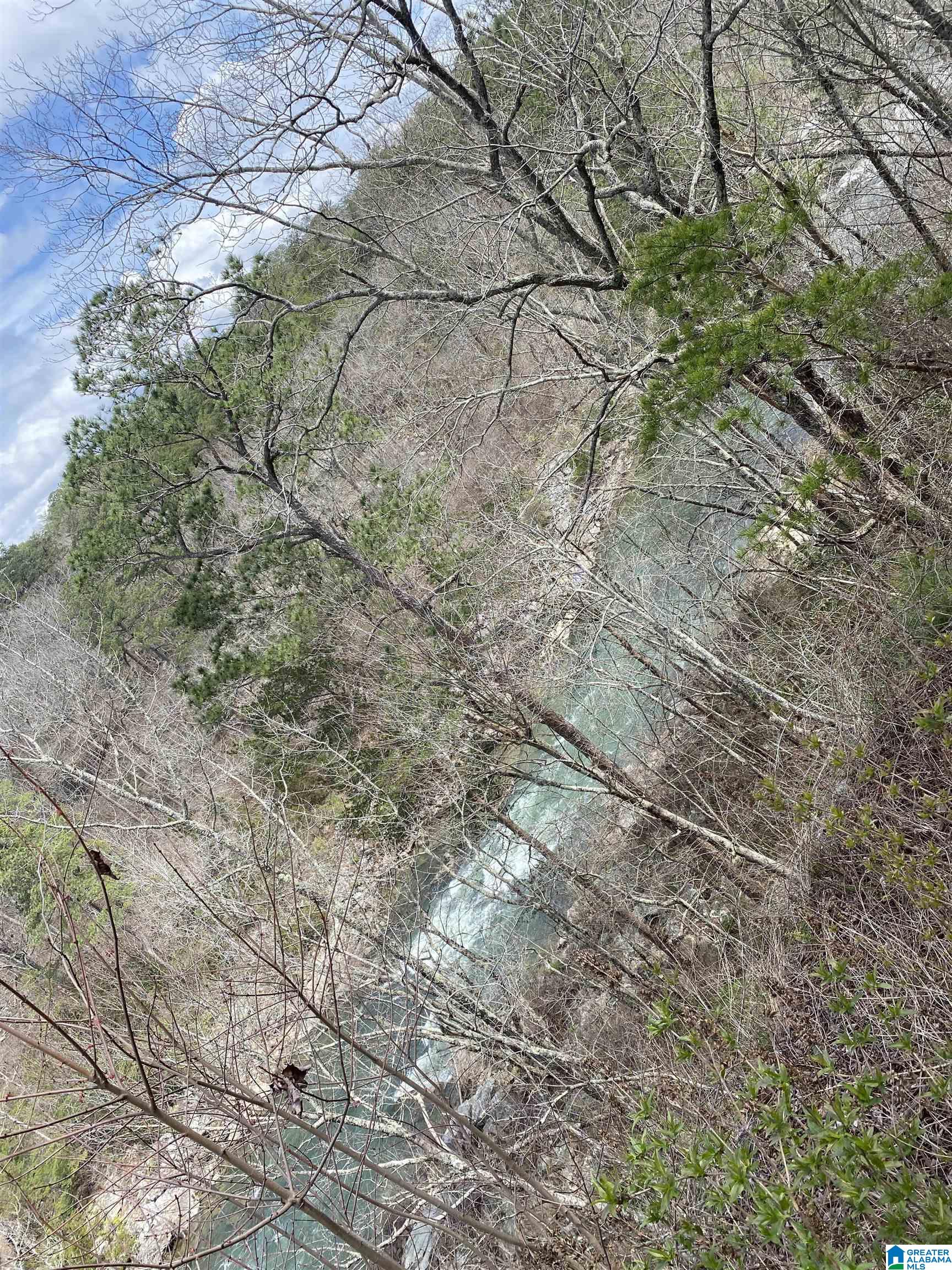 Homes for sale in Ft Payne, AL | 0 County Road 57, Ft Payne, AL 35967 | MLS# 21448227