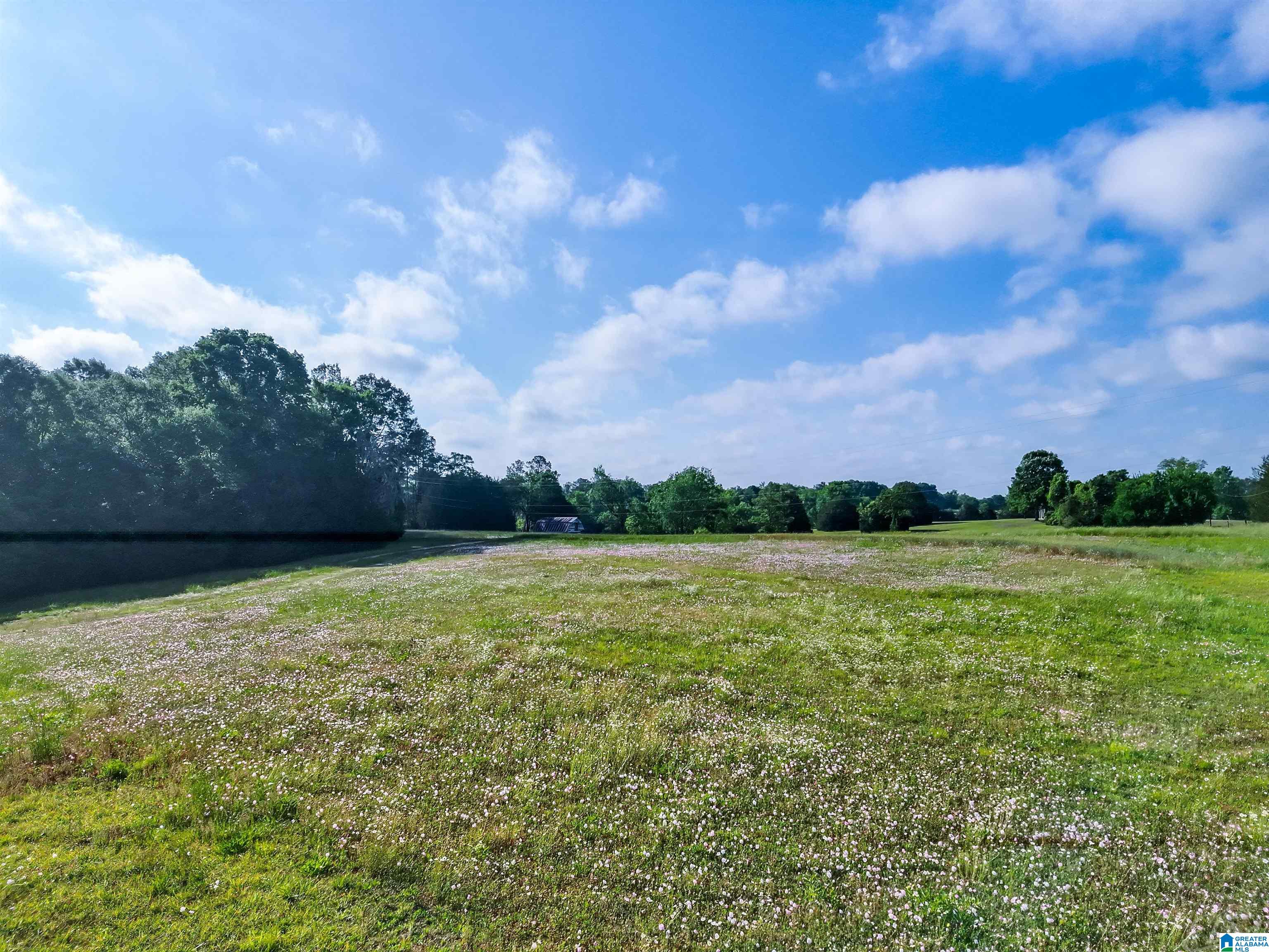 Homes for sale in Hope Hull, AL | 80 Brady Road, Hope Hull, AL 36043 | MLS# 21448338