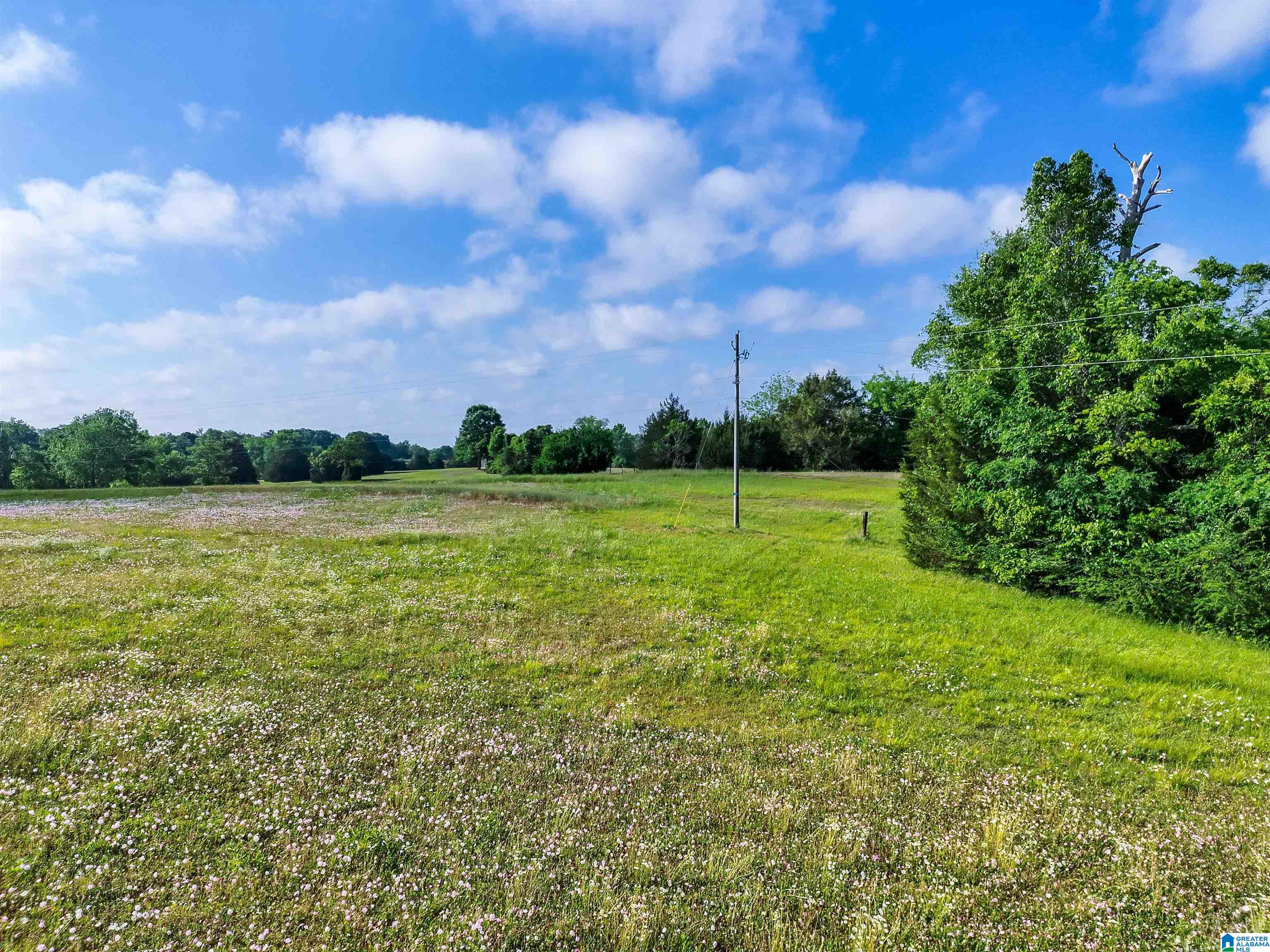 Homes for sale in Hope Hull, AL | 80 Brady Road, Hope Hull, AL 36043 | MLS# 21448338
