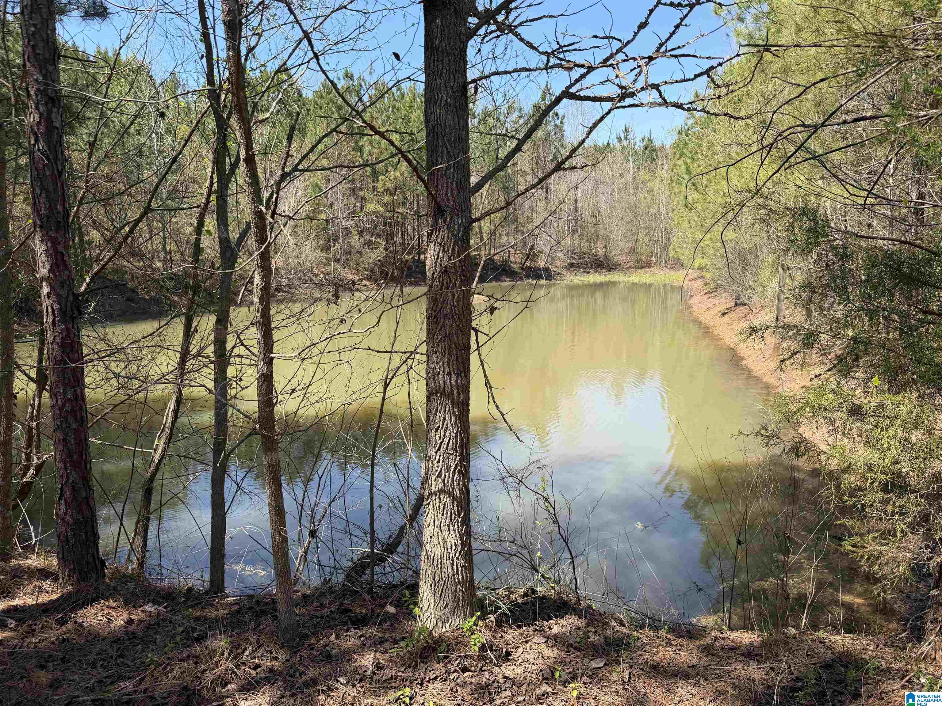 0 COUNTY ROAD 79
