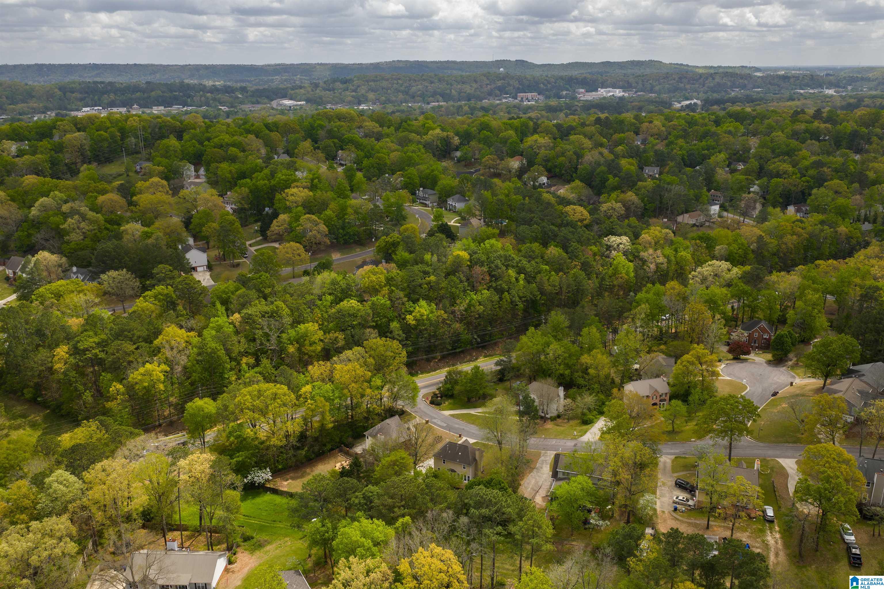 Homes for sale in Helena, AL | 6040 Woodvale Road, Helena, AL 35080 | MLS# 21448405