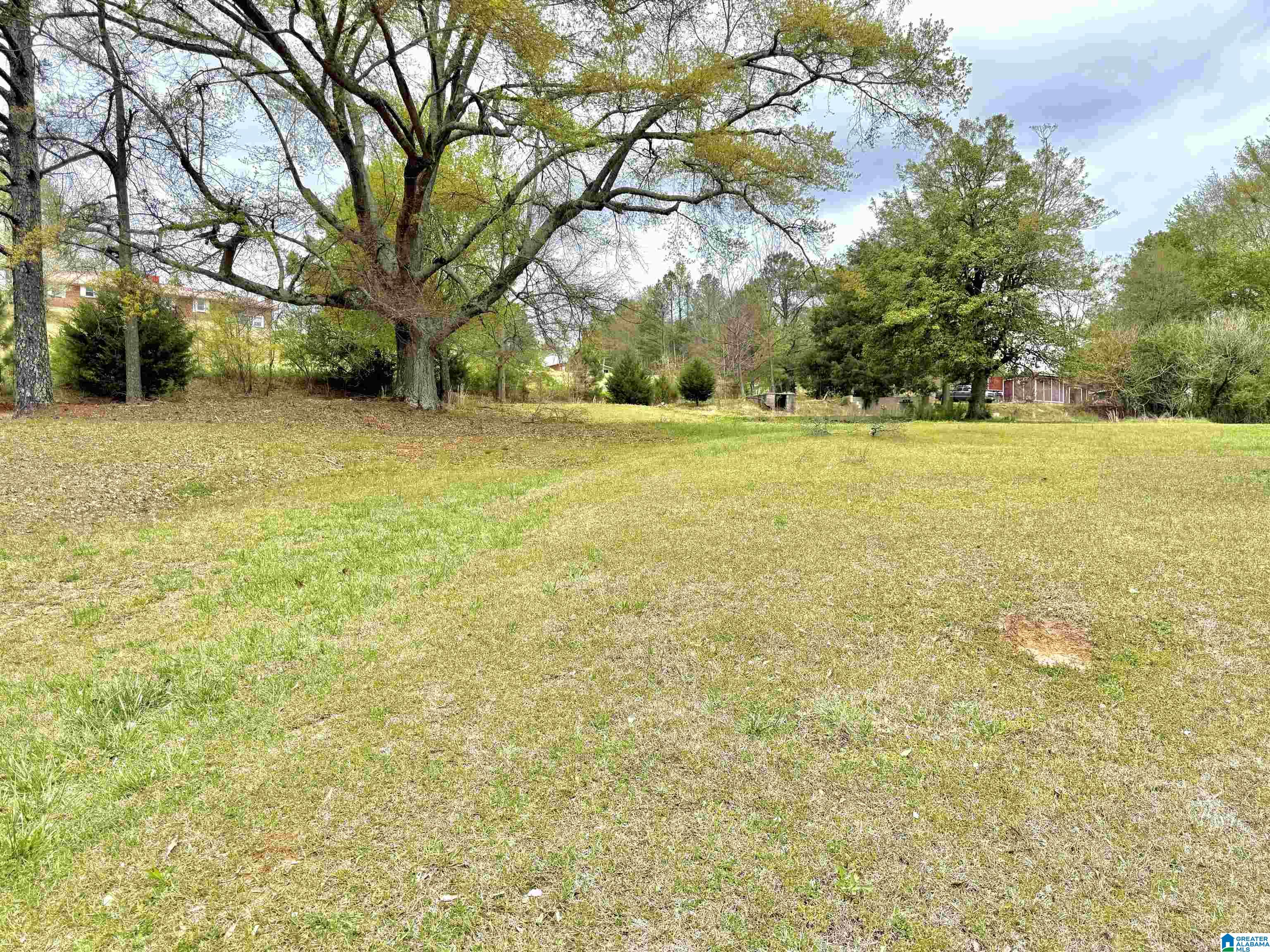 Homes for sale in Ashland, AL | Mitchell Lane, Ashland, AL 36251 | MLS# 21448455