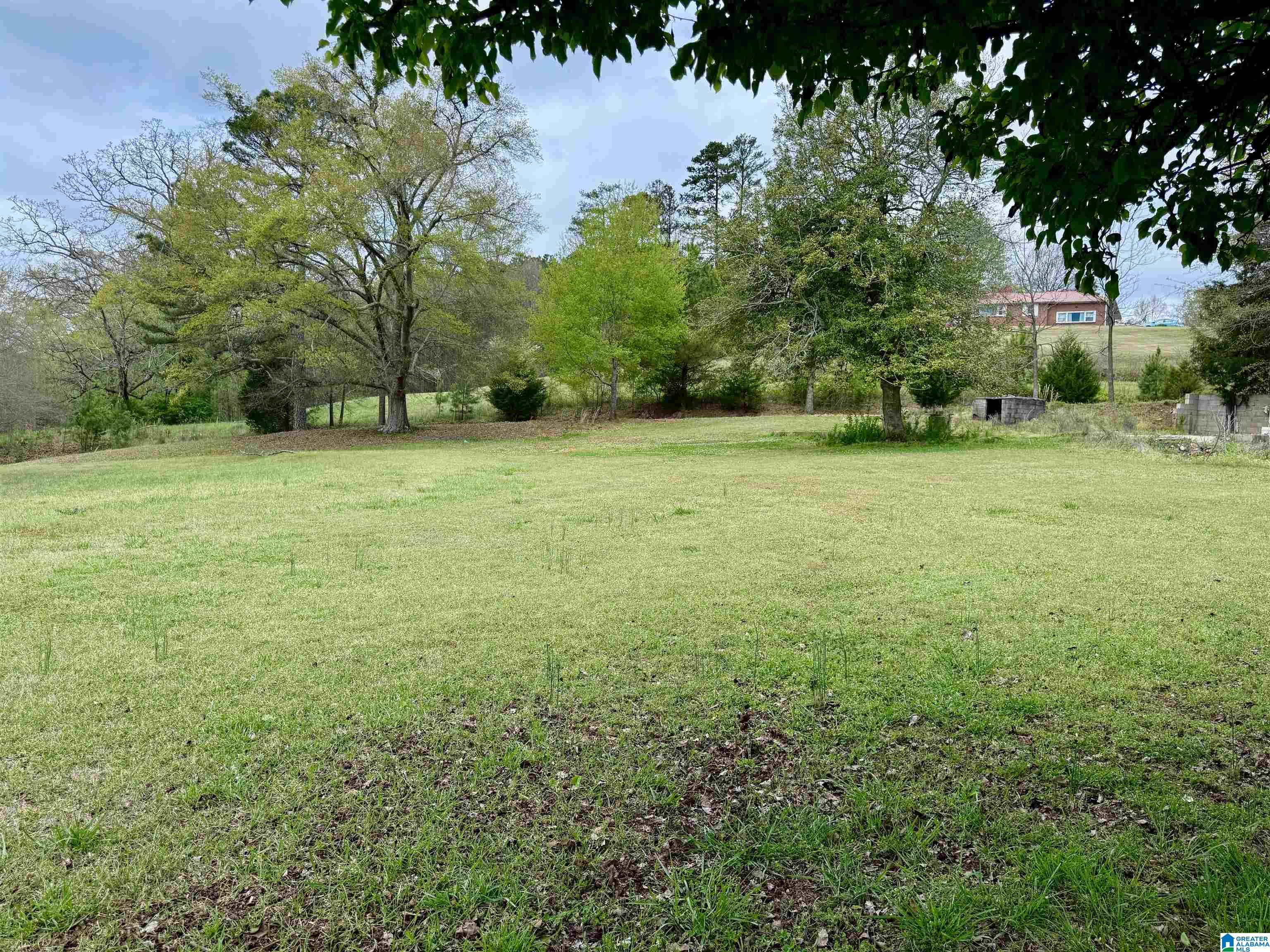 Homes for sale in Ashland, AL | Mitchell Lane, Ashland, AL 36251 | MLS# 21448455