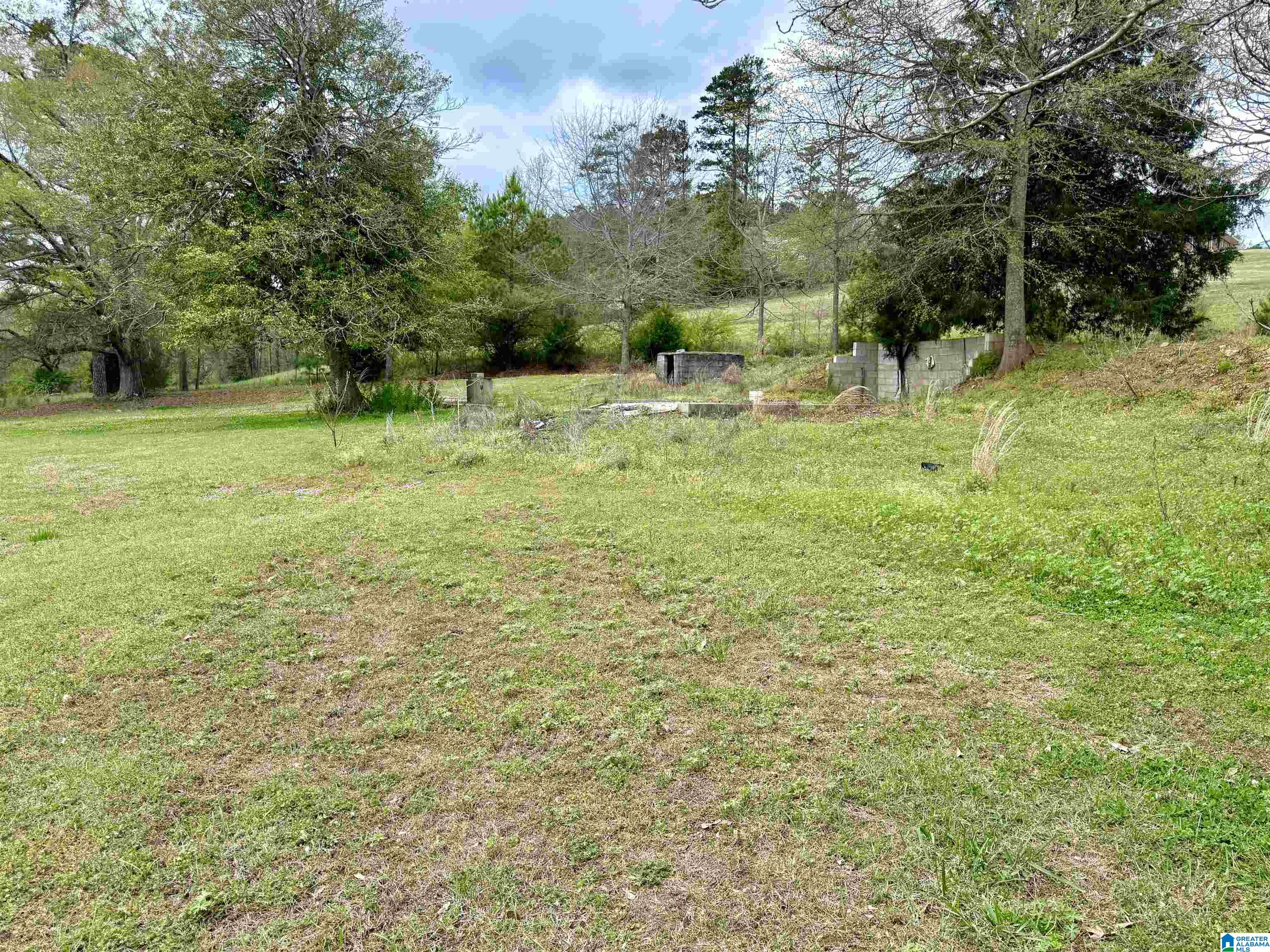 Homes for sale in Ashland, AL | Mitchell Lane, Ashland, AL 36251 | MLS# 21448455