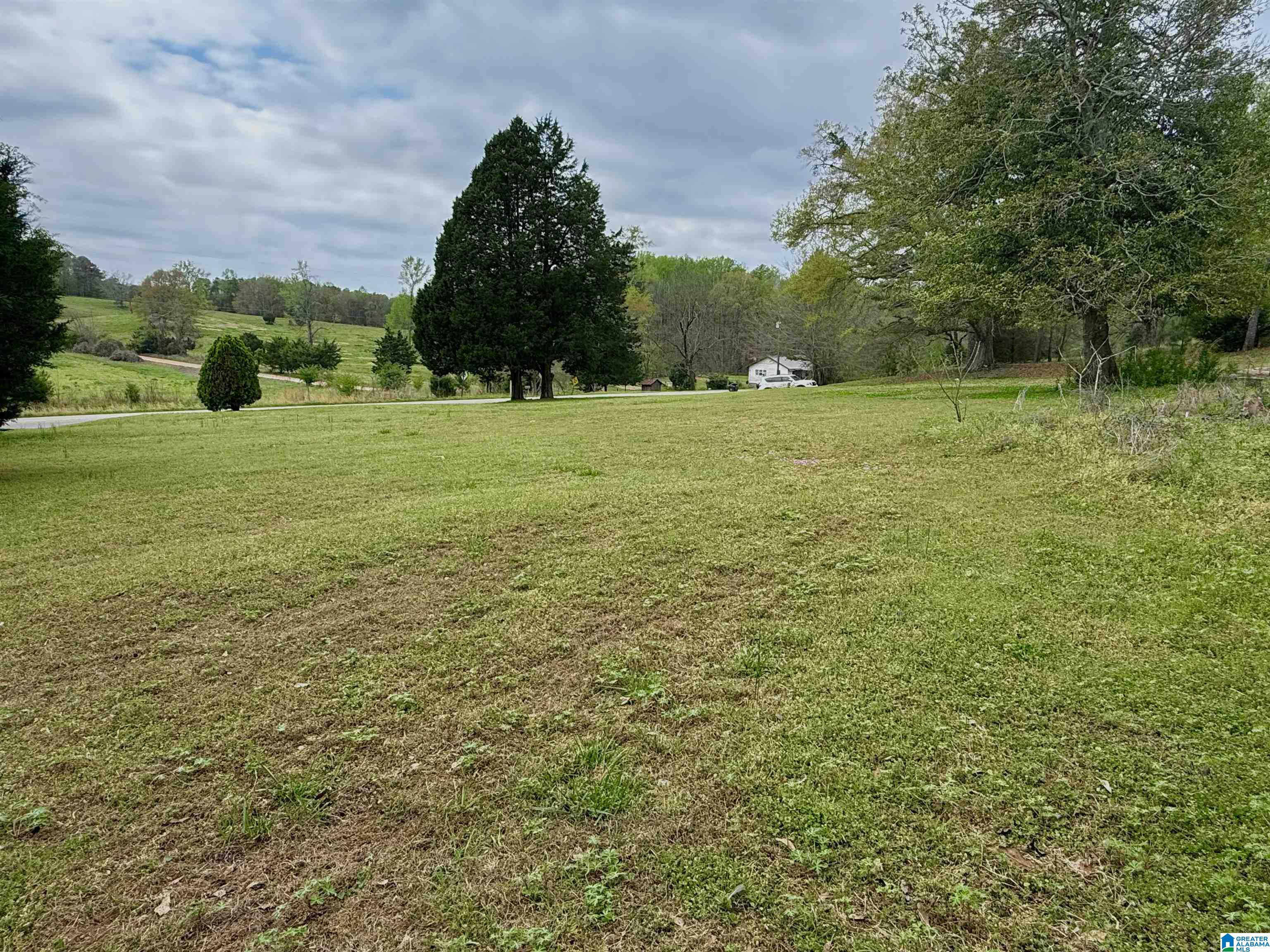 Homes for sale in Ashland, AL | Mitchell Lane, Ashland, AL 36251 | MLS# 21448455