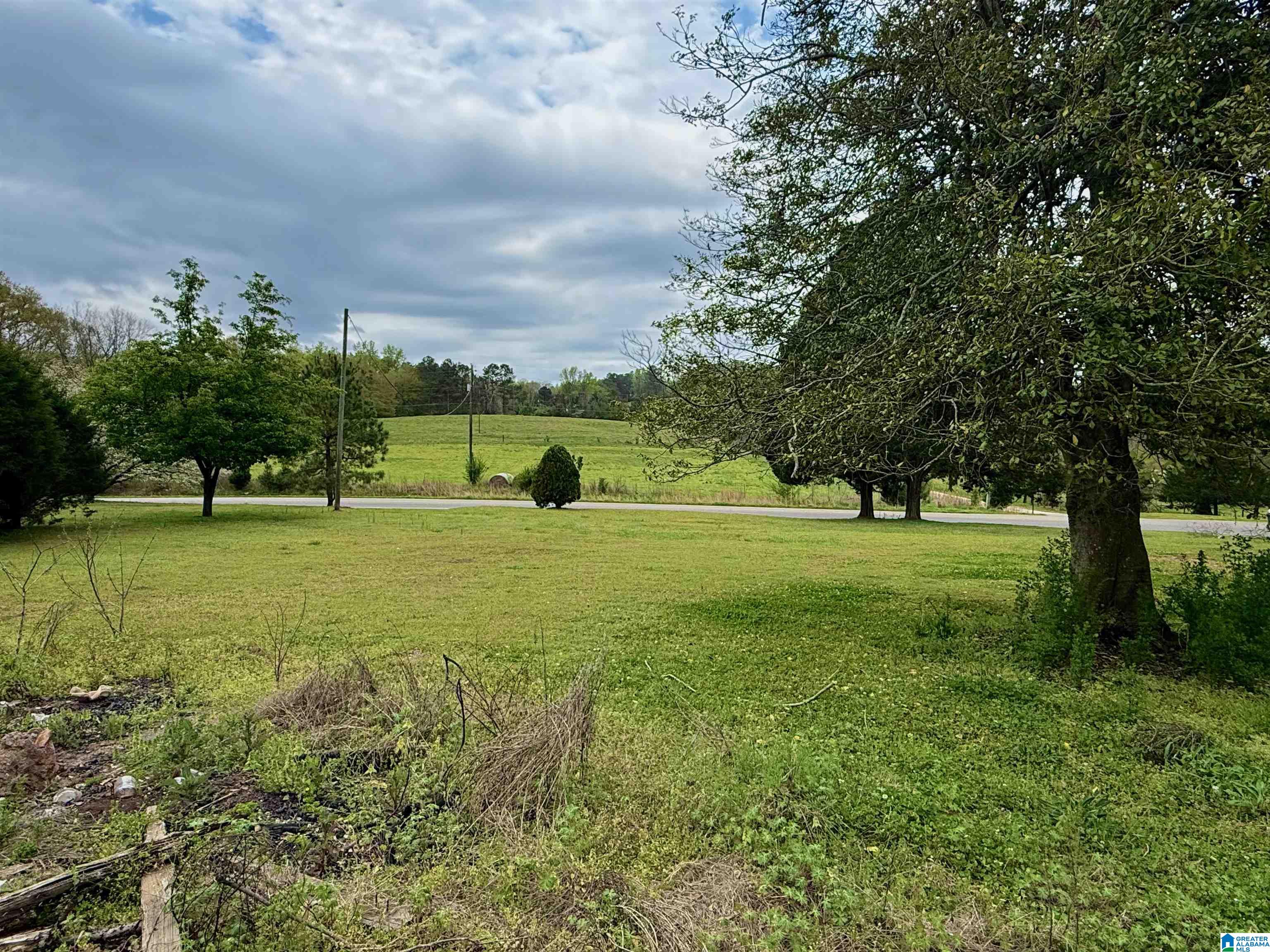 Homes for sale in Ashland, AL | Mitchell Lane, Ashland, AL 36251 | MLS# 21448455