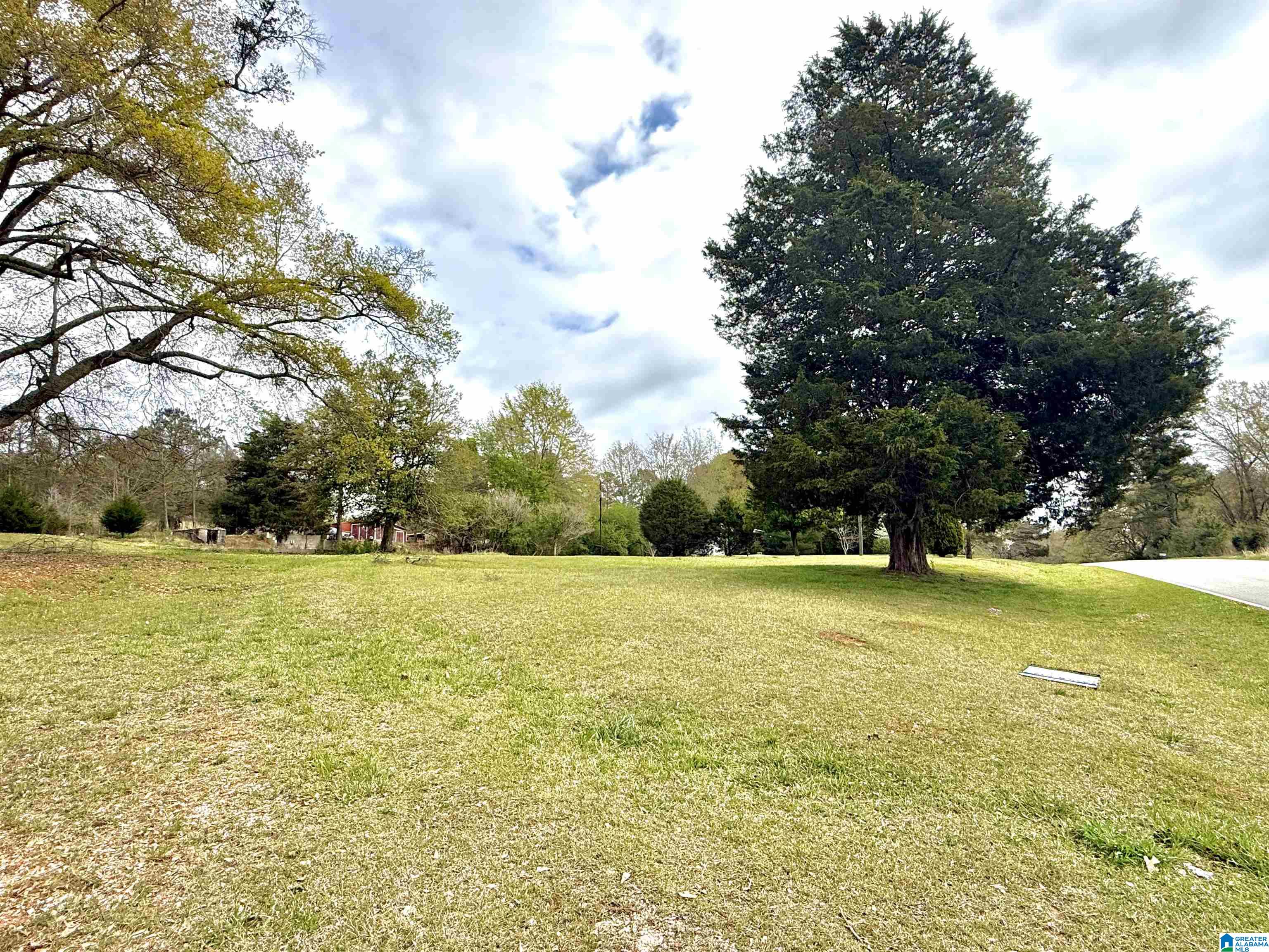 Homes for sale in Ashland, AL | Mitchell Lane, Ashland, AL 36251 | MLS# 21448455