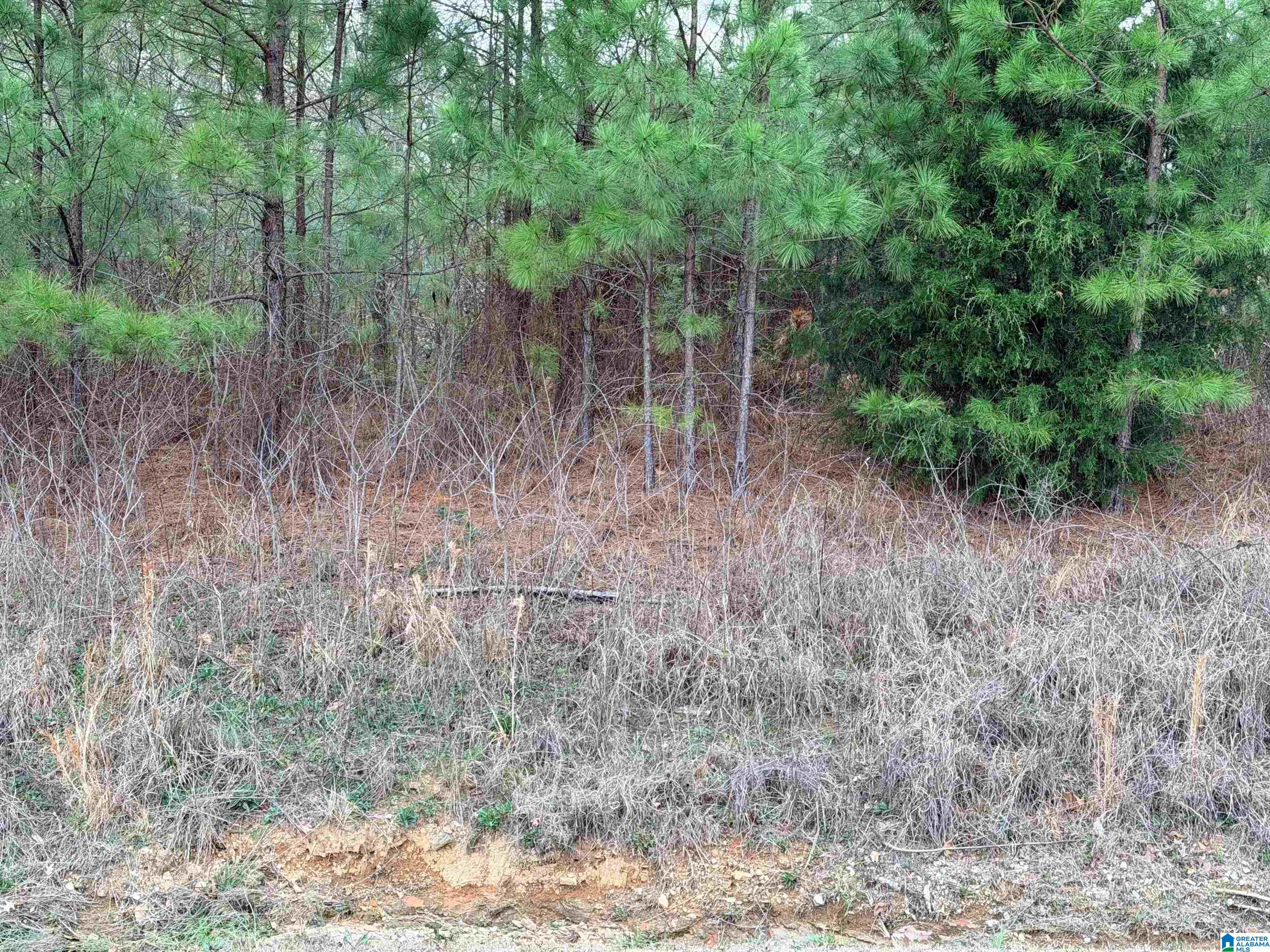 2012 SHANNON ROAD