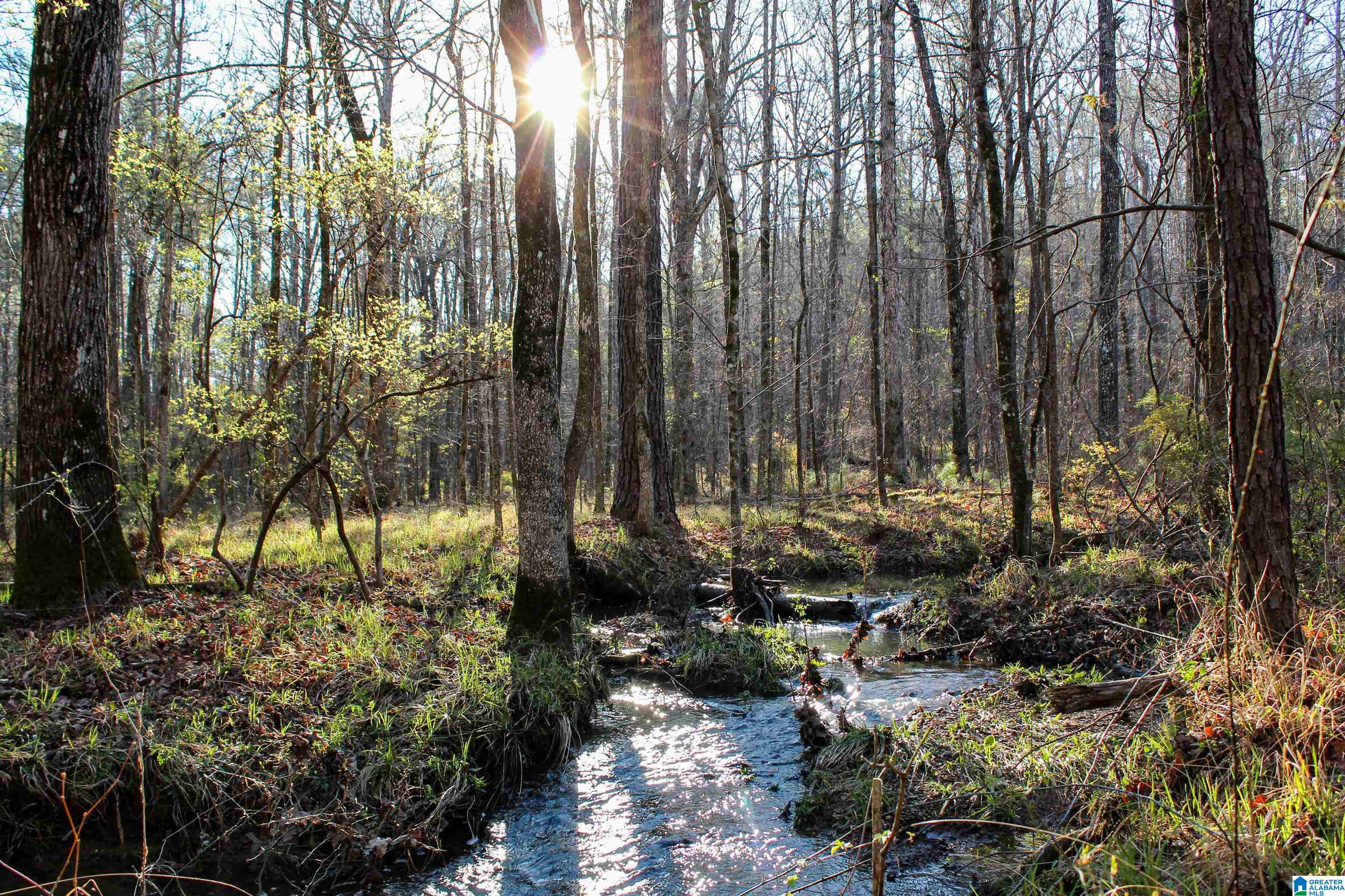0 INDIAN GAP TRAIL