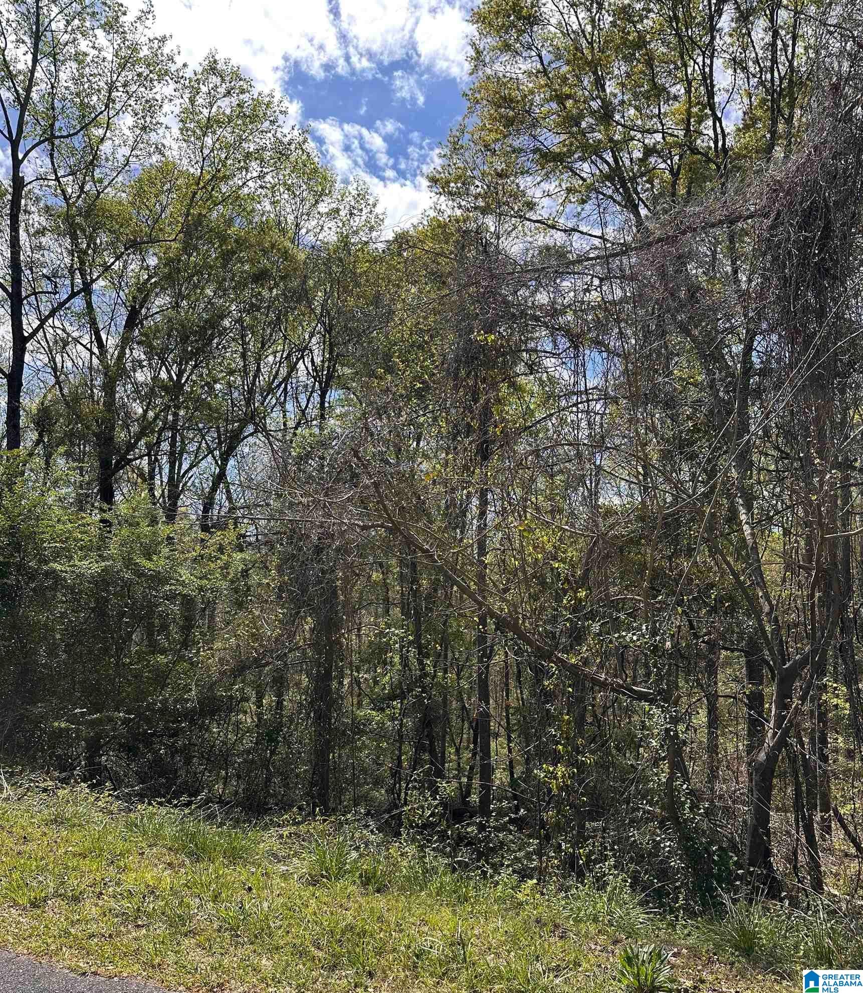 Lot 11 WRIGHT WAY DRIVE