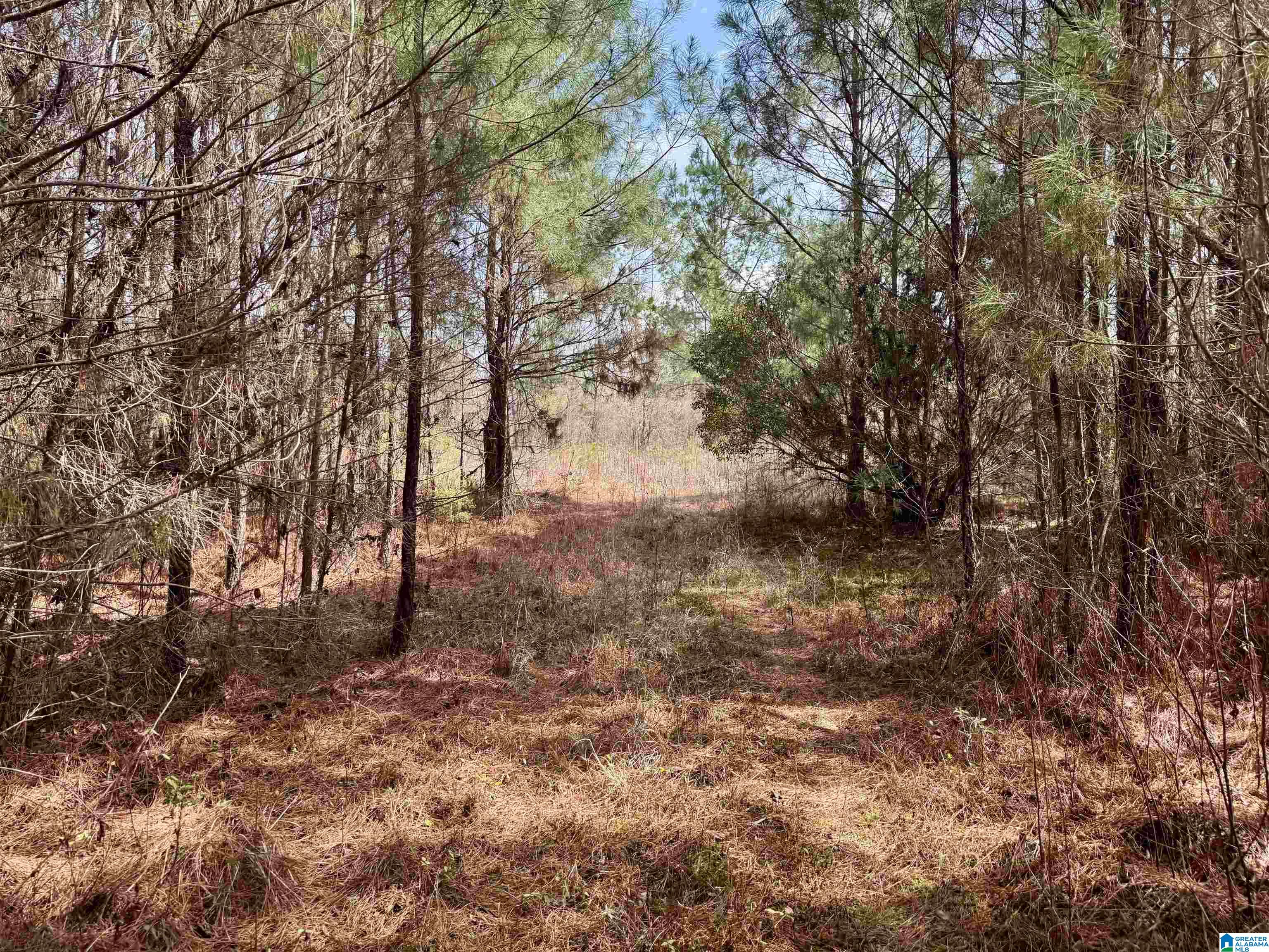 Homes for sale in Tallassee, AL | Scroggins Dr, Tallassee, AL 36078 | MLS# 21448582