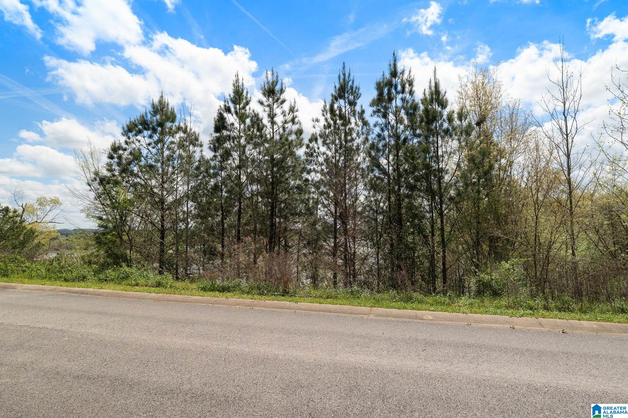 Homes for sale in Lincoln, AL | 0 Willow Dr, Lincoln, AL 35096 | MLS# 21448708