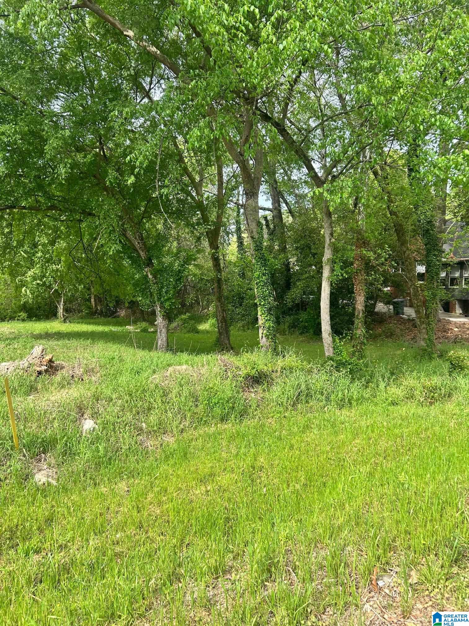 Homes for sale in Homewood, AL | 1032 Columbiana Road, Homewood, AL 35209 | MLS# 21448726