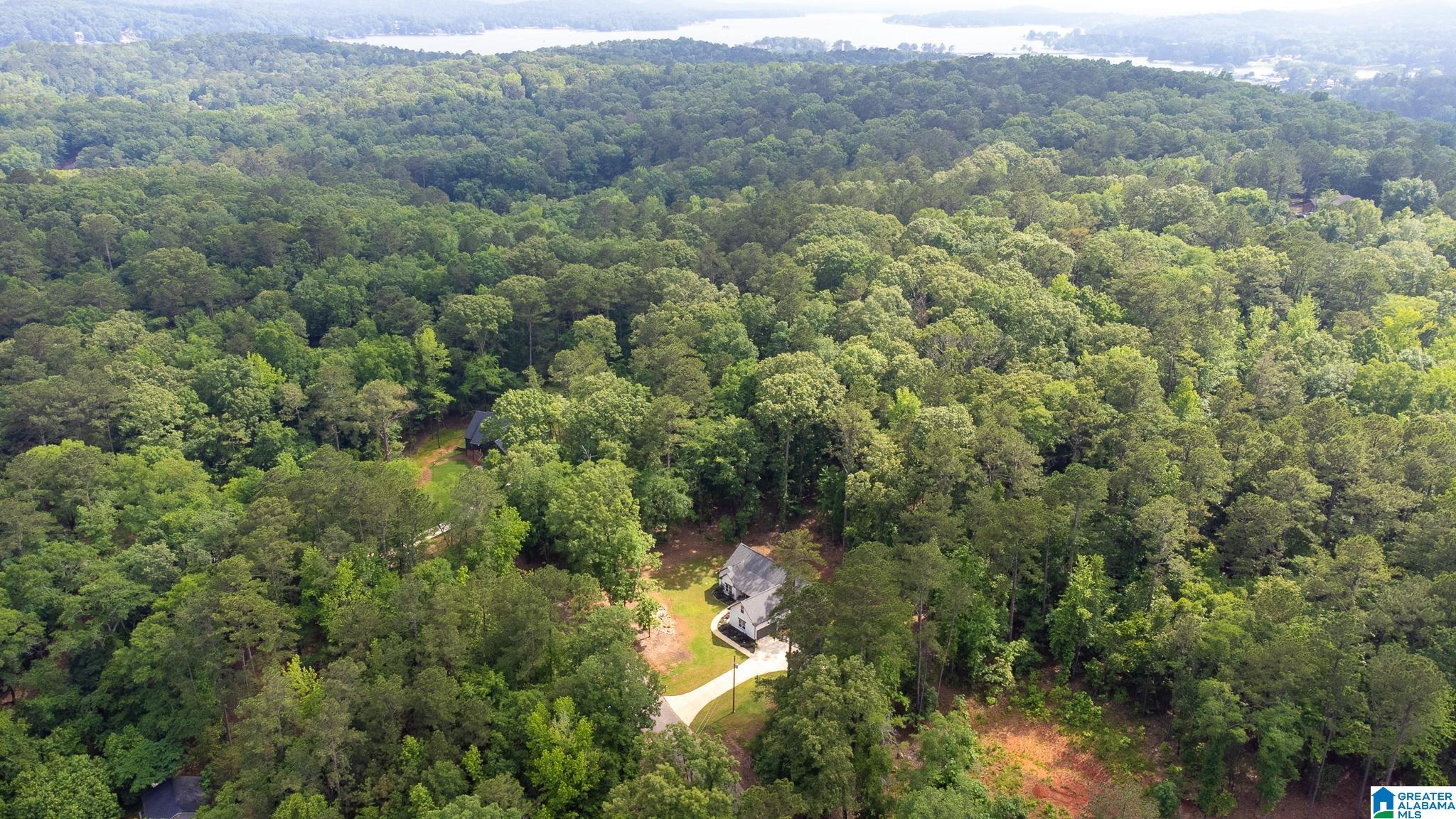 Homes for sale in Cropwell, AL | 70 Choice Circle, Cropwell, AL 35054 | MLS# 21448797