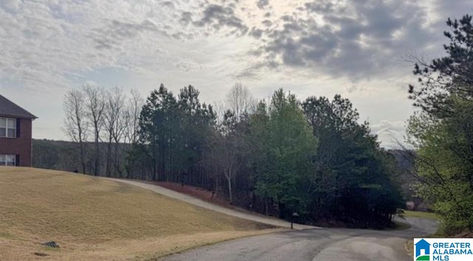 Photo 3 of Land for sale at 5017 Creek Blf, Mc Calla, AL 35111 | MLS# 21448877 | Listing updated on 2026-04-06