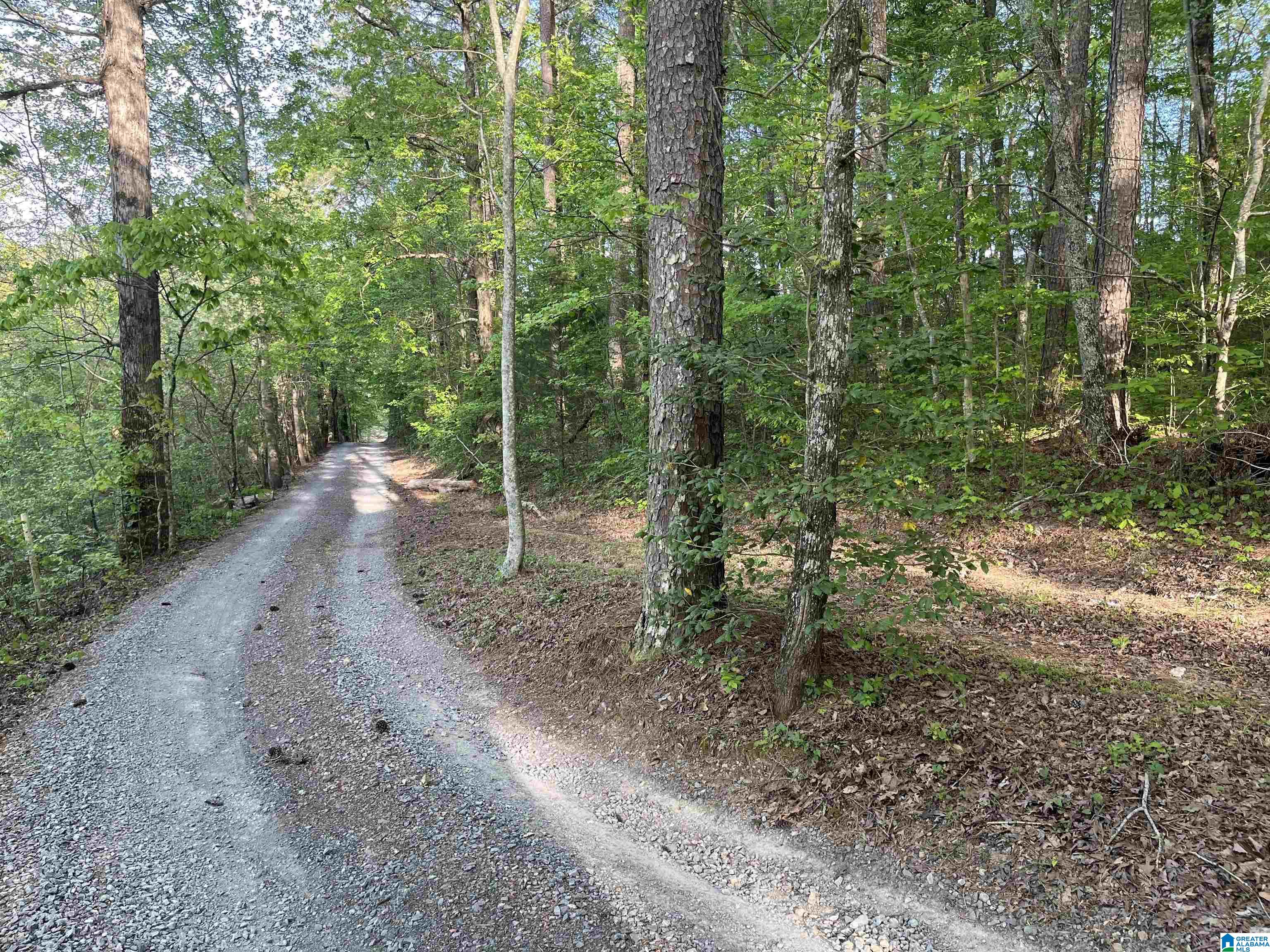 Homes for sale in Trussville, AL | 6446 Trussville Clay Road, Trussville, AL 35173 | MLS# 21448884