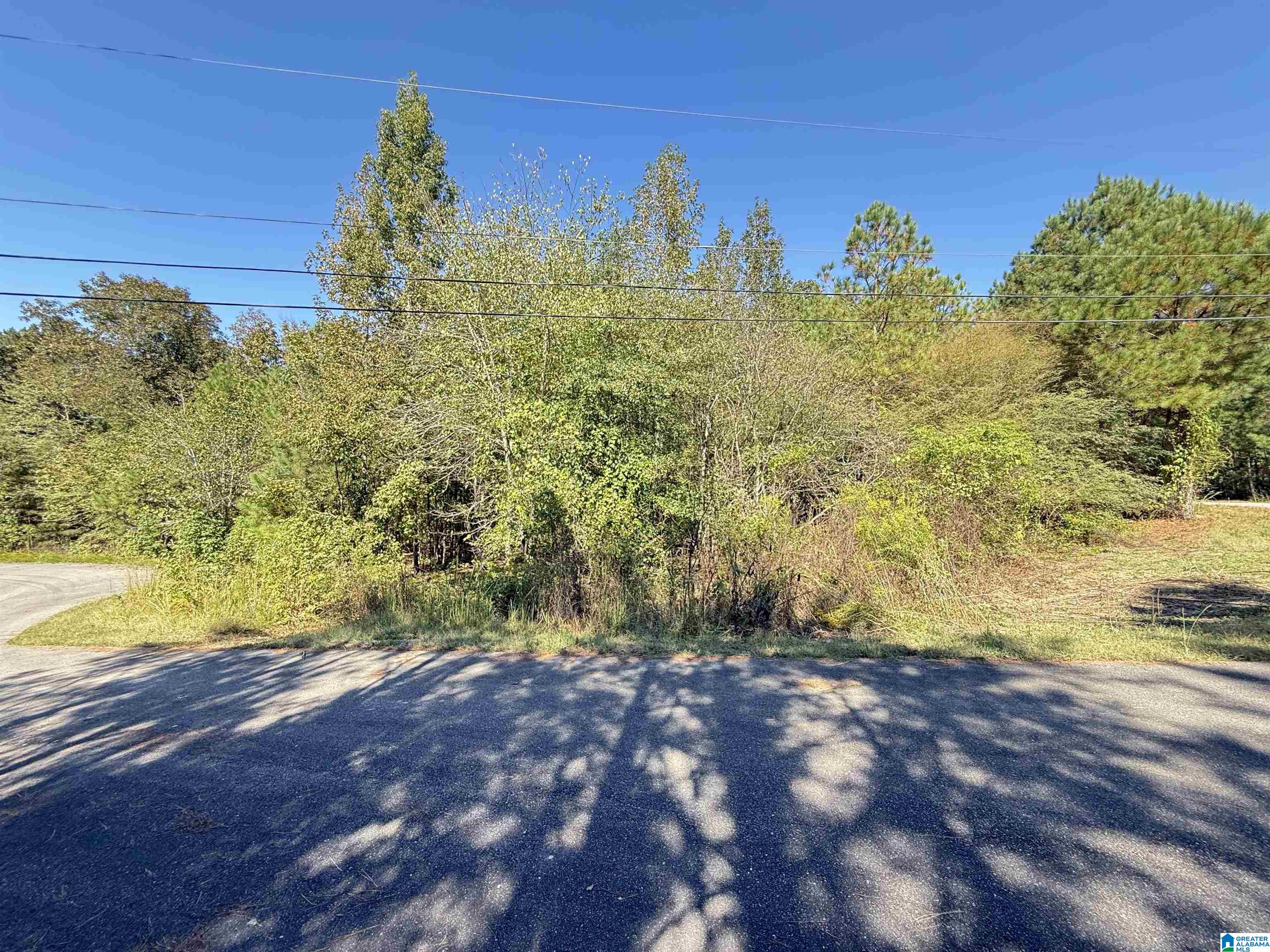 100 FALLVIEW WAY