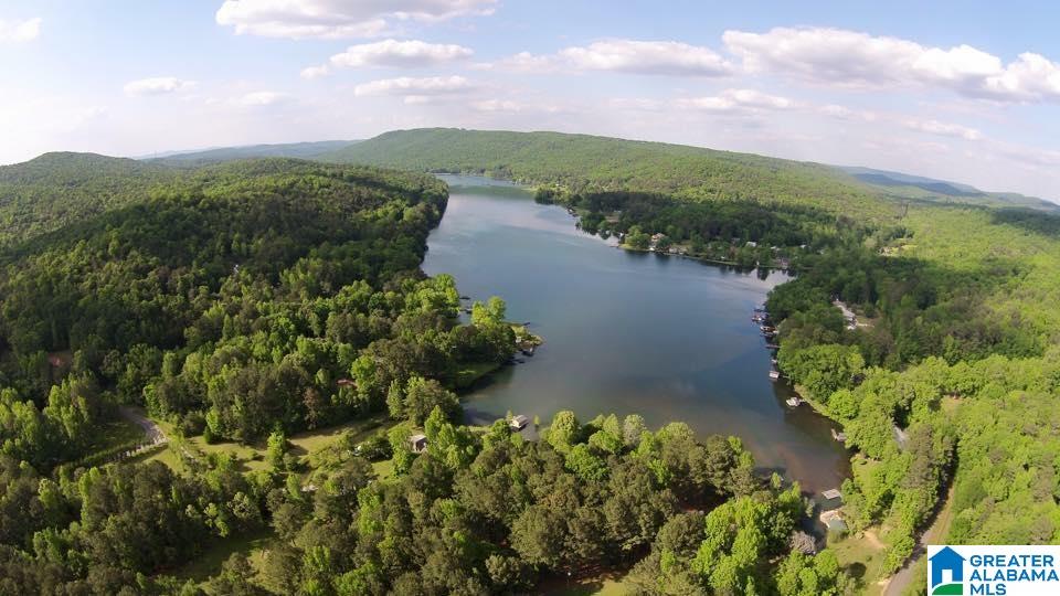 3rd image of 8279 Emerald Lake Dr W, Pinson, AL 35126 | MLS# 21449039