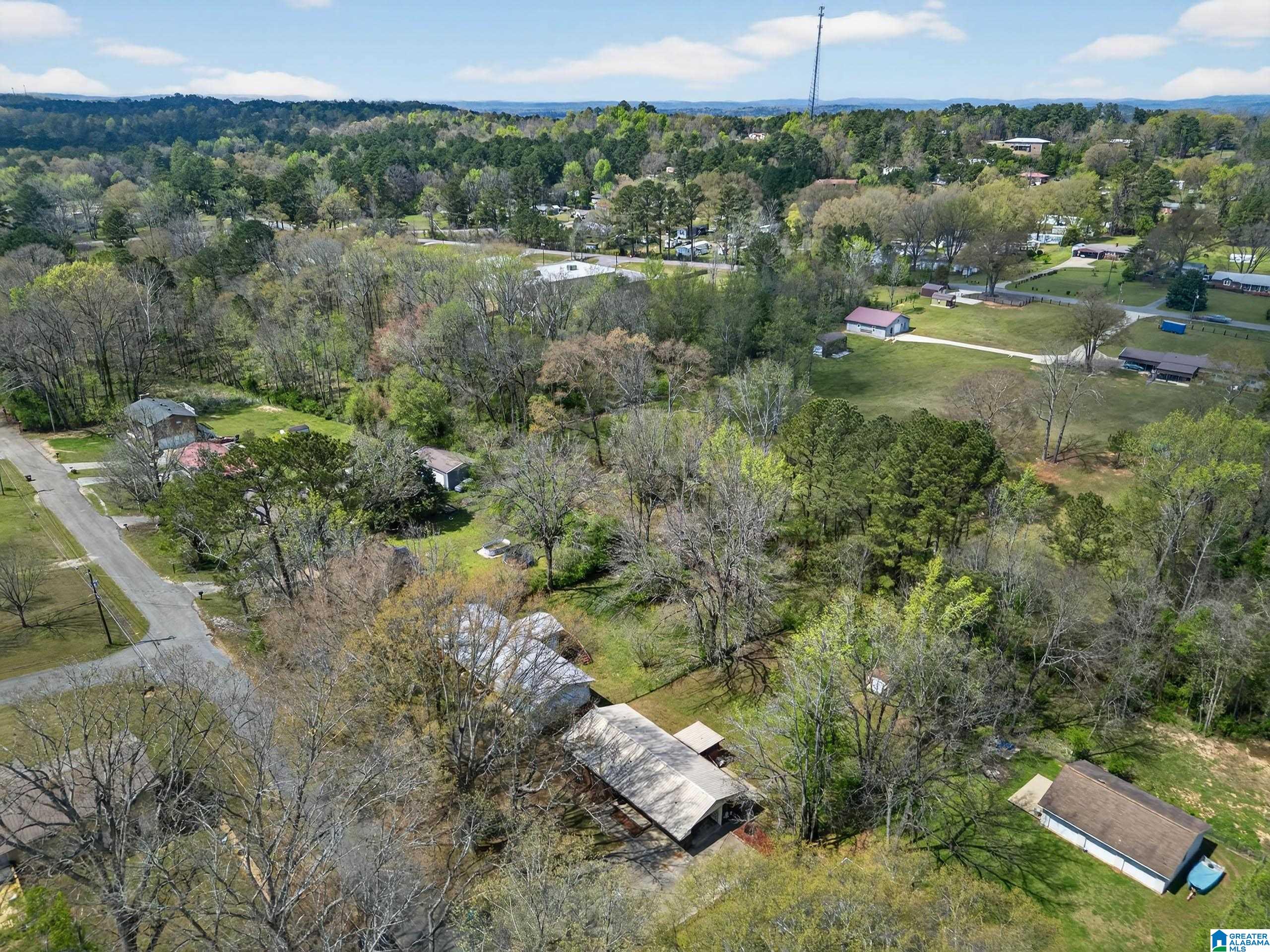 3rd image of 1423 Montevallo Road, Weaver, AL 36277 | MLS# 21449057