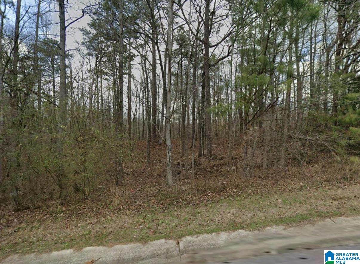 389 SHELBY SPRINGS FARMS