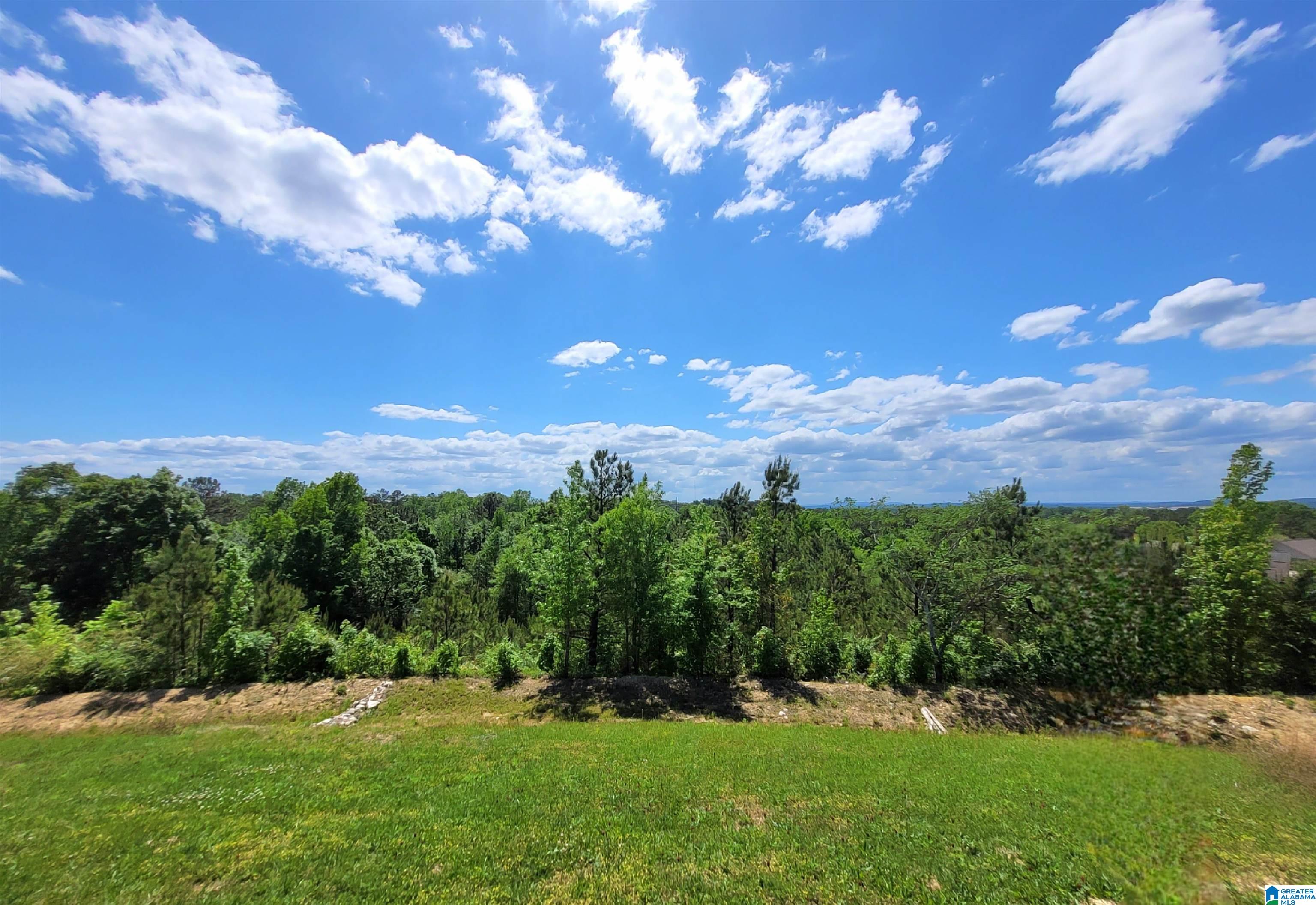 55th image of 264 Highland View Dr, Lincoln, AL 35096 | MLS# 21449108
