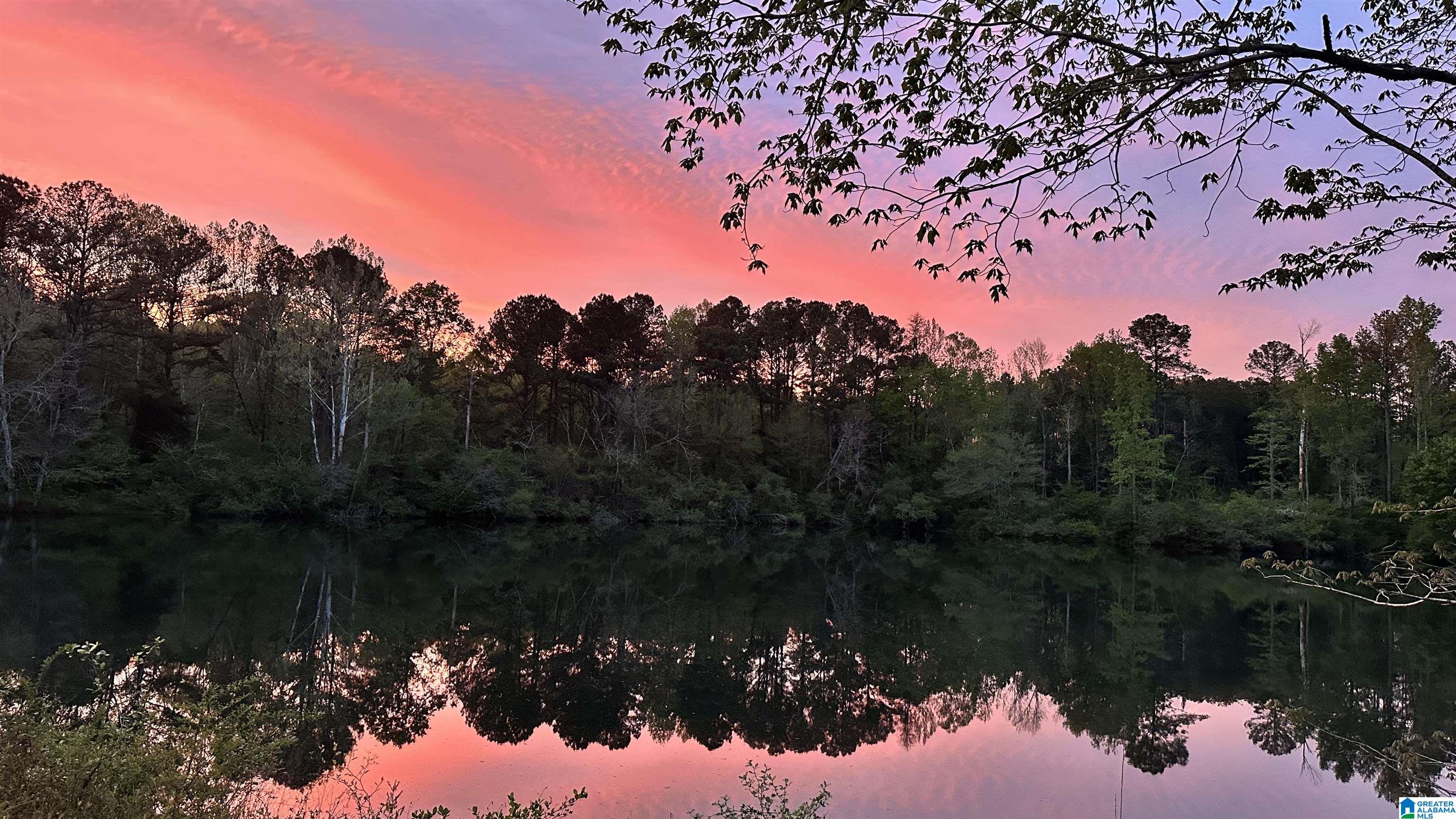 5th image of 10831 Hwy 42, Shelby, AL 35143 | MLS# 21449190