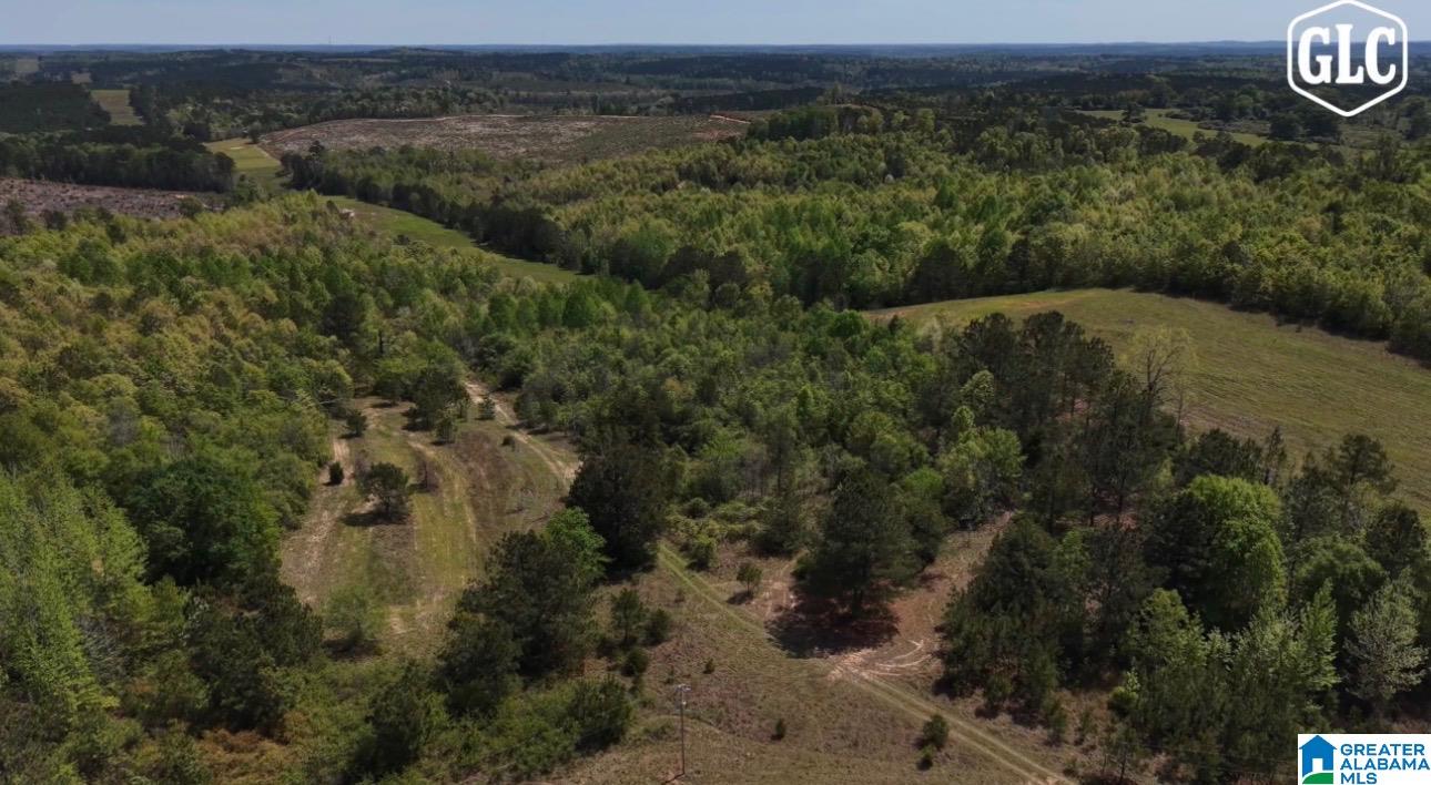 Homes for sale in Billingsley, AL | 1600 County Road 125, Billingsley, AL 36758 | MLS# 21449191