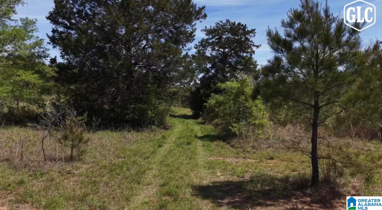 Homes for sale in Billingsley, AL | 1600 County Road 125, Billingsley, AL 36758 | MLS# 21449191