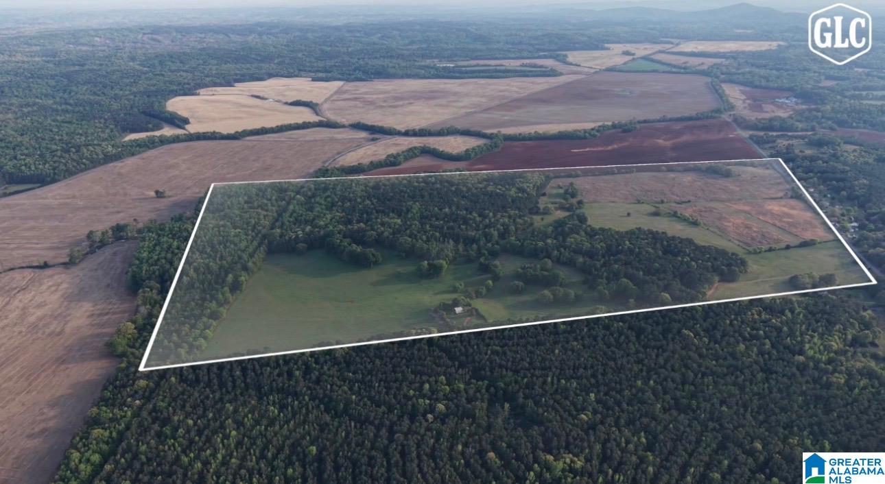 Photo 4 of Land for sale at 3279 Whiting Rd, Talladega, AL 35160 | MLS# 21449207 | Listing updated on 2026-09-18