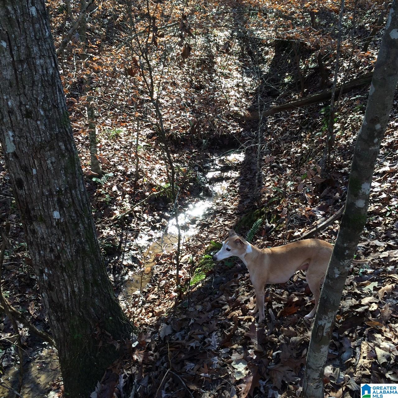 Homes for sale in Ragland, AL | 00 Us Hwy 231, Ragland, AL 35131 | MLS# 21449276