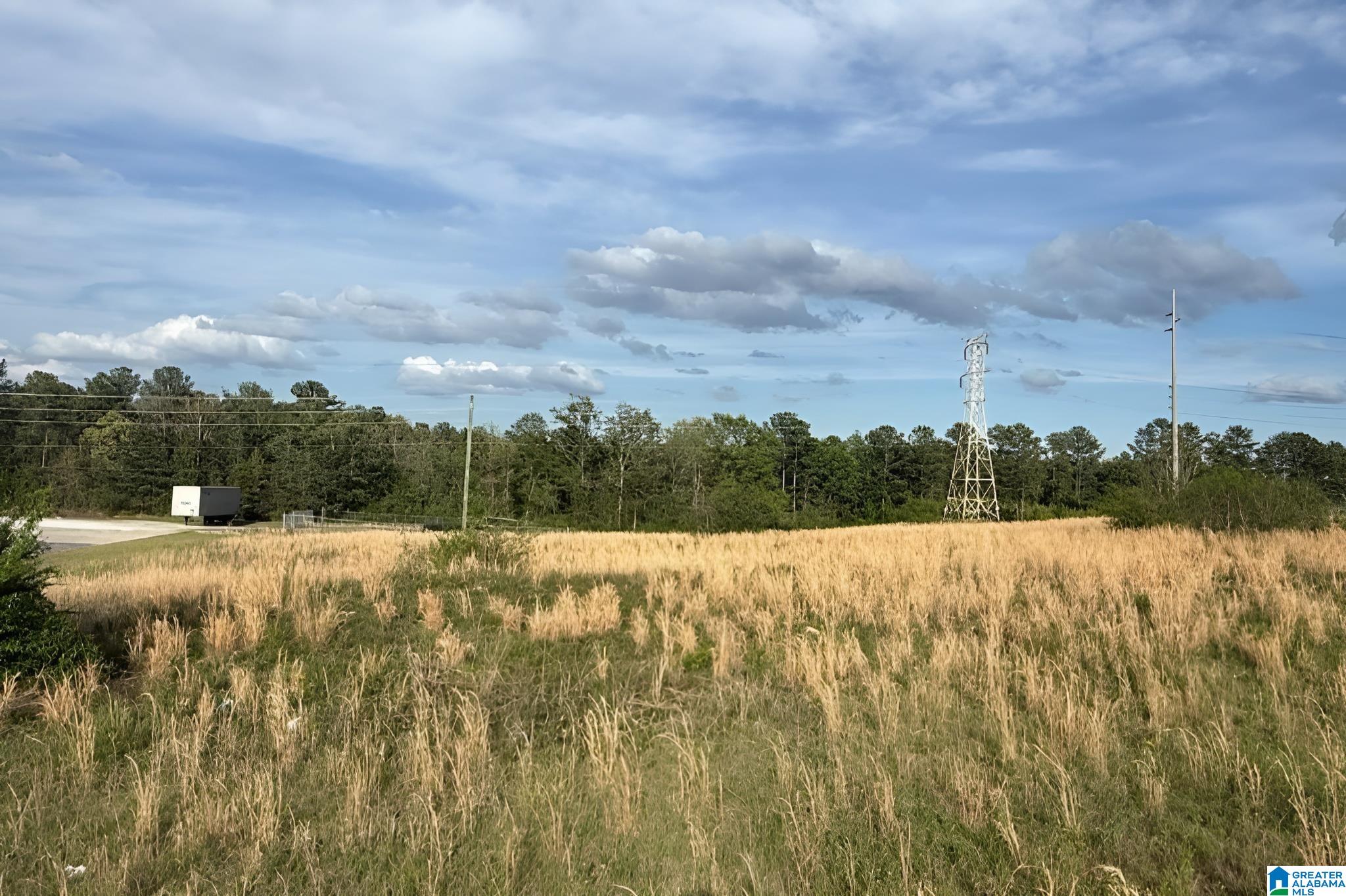 Photo 2 of Land for sale at 430 George Roy Pkwy, Calera, AL 35040 | MLS# 21449312 | Listing updated on 2026-05-17