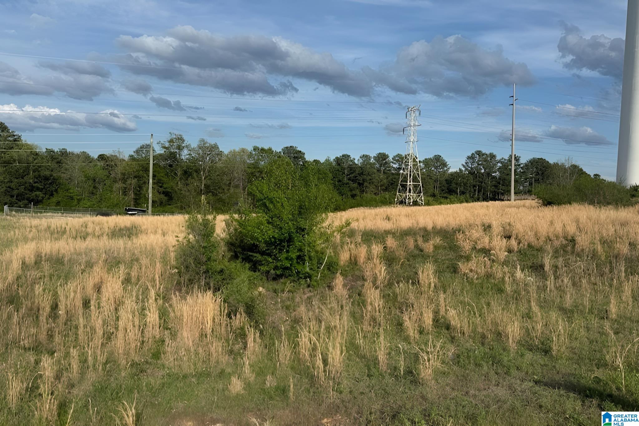 Photo 3 of Land for sale at 430 George Roy Pkwy, Calera, AL 35040 | MLS# 21449312 | Listing updated on 2026-05-17