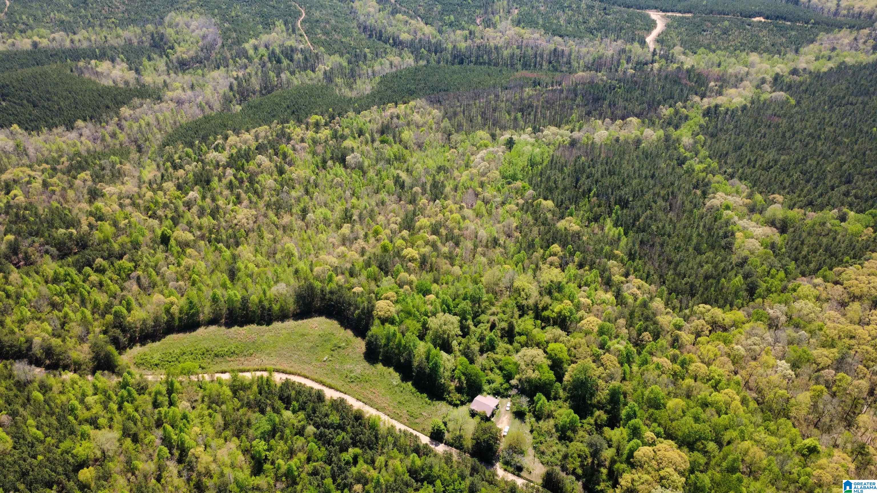 Homes for sale in Muscadine, AL | 525 County Road 624, Muscadine, AL 36269 | MLS# 21449481