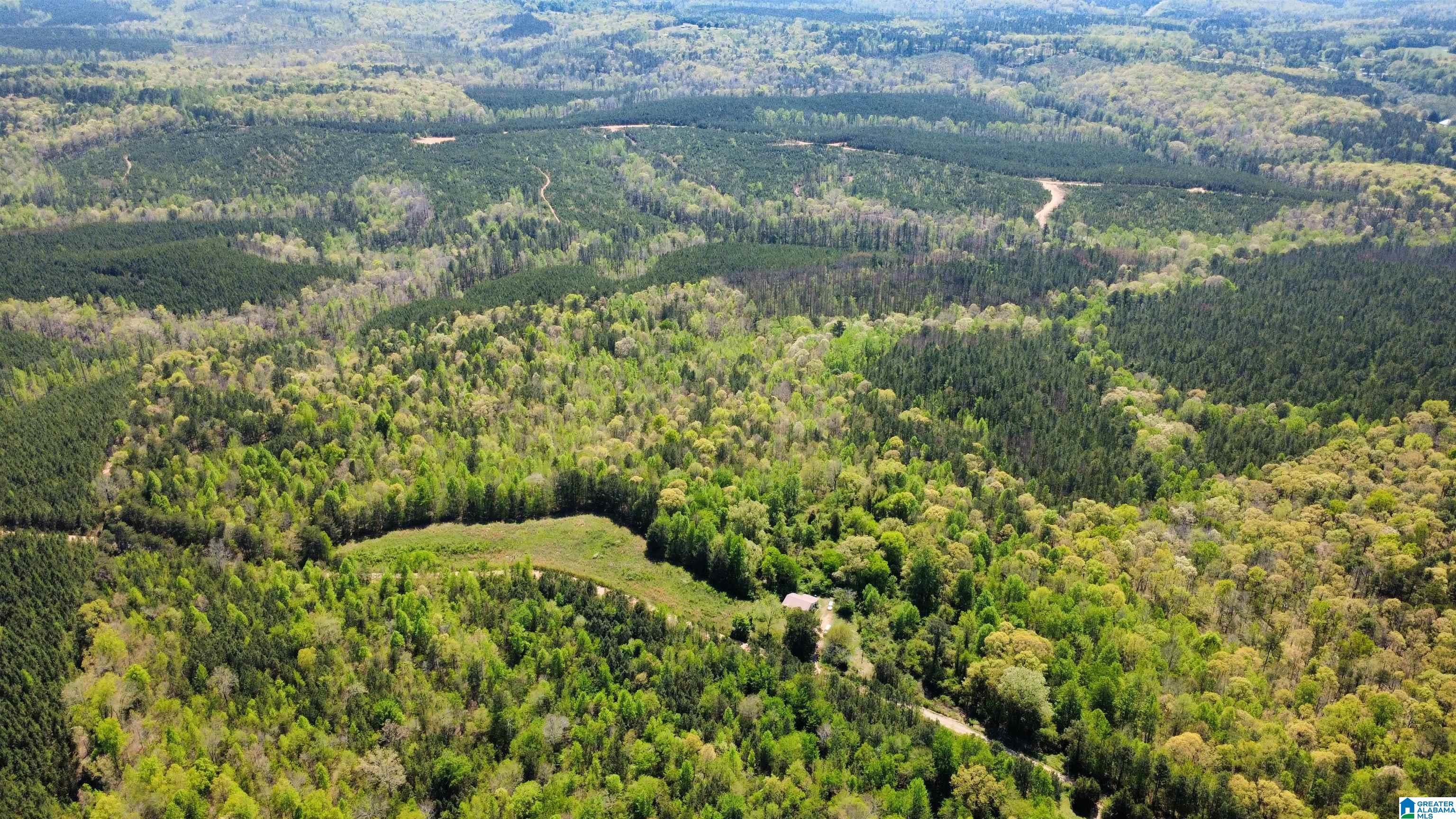 Homes for sale in Muscadine, AL | 525 County Road 624, Muscadine, AL 36269 | MLS# 21449481