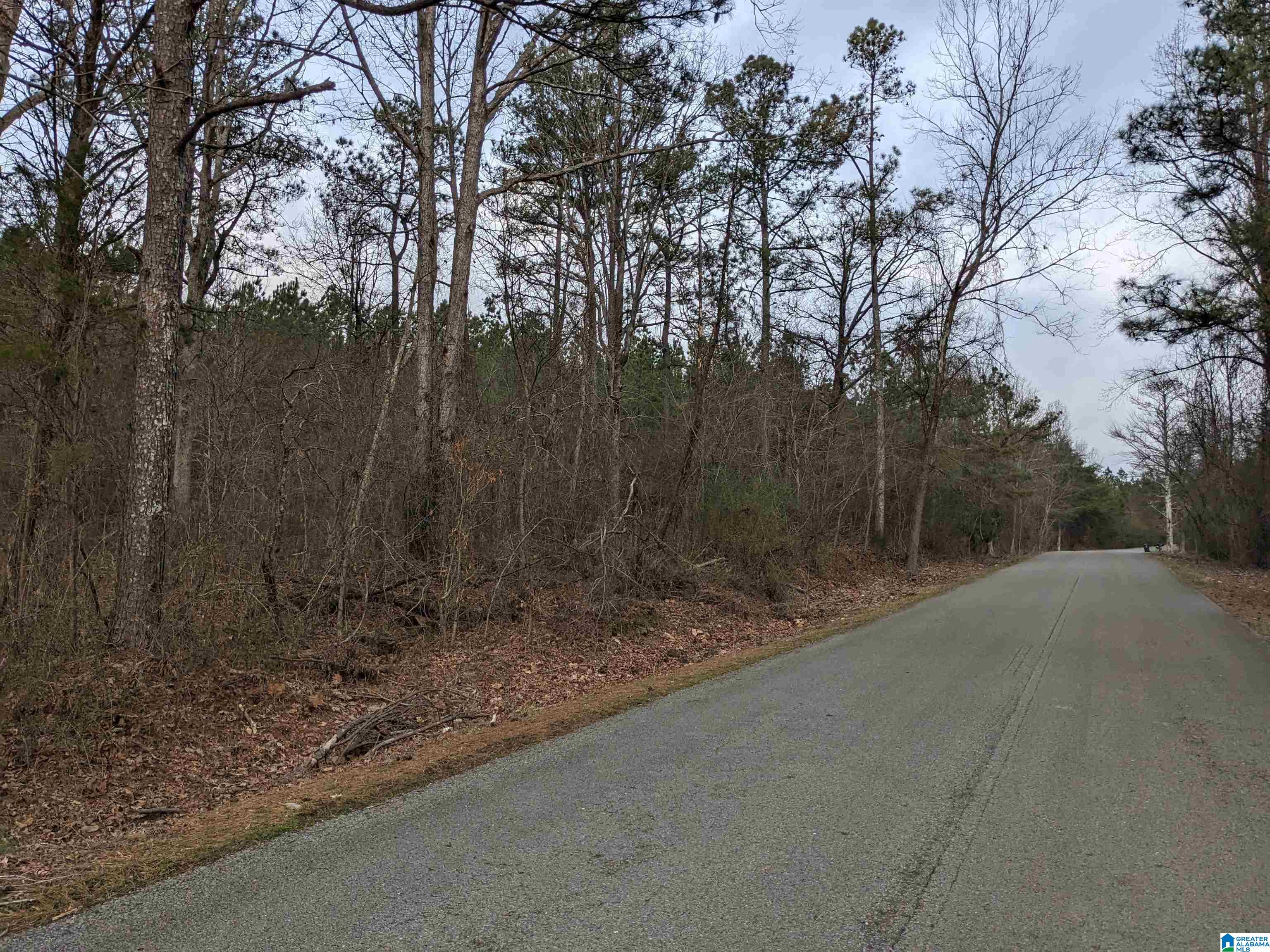 Homes for sale in Haleyville, AL | 0 County Road 183, Haleyville, AL 35565 | MLS# 21449497