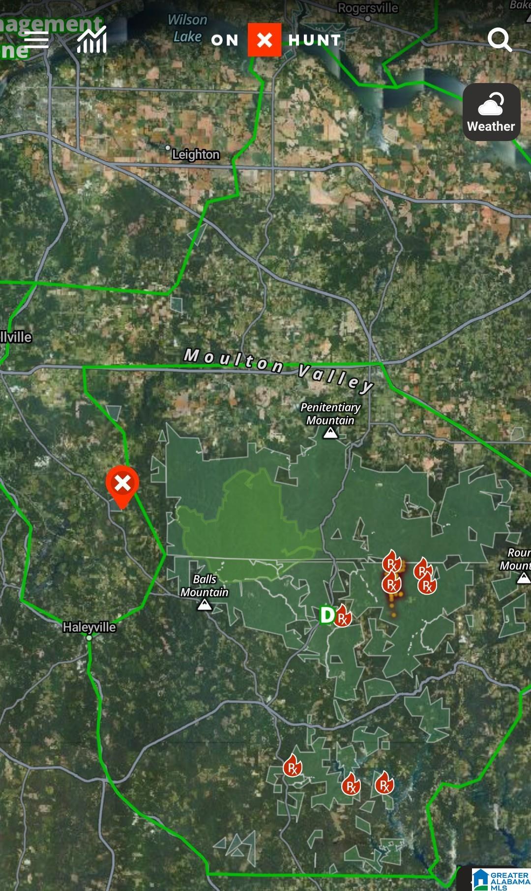 Homes for sale in Haleyville, AL | 0 County Road 183, Haleyville, AL 35565 | MLS# 21449497