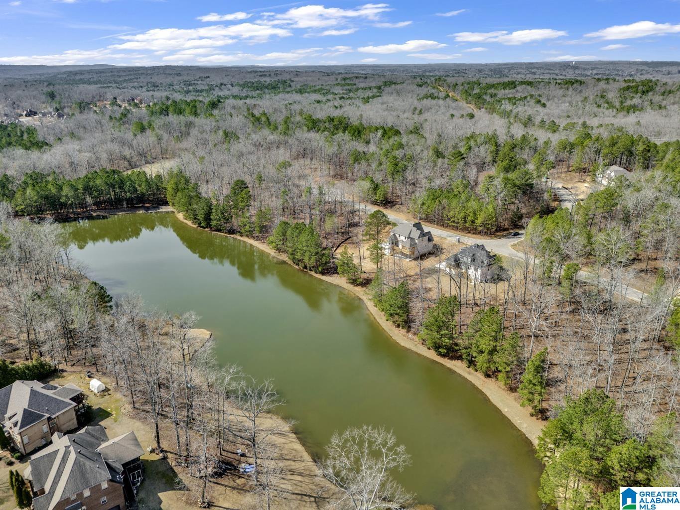 12th image of 5010 Laurel Lakes Terrace, Bessemer, AL 35022 | MLS# 21449531