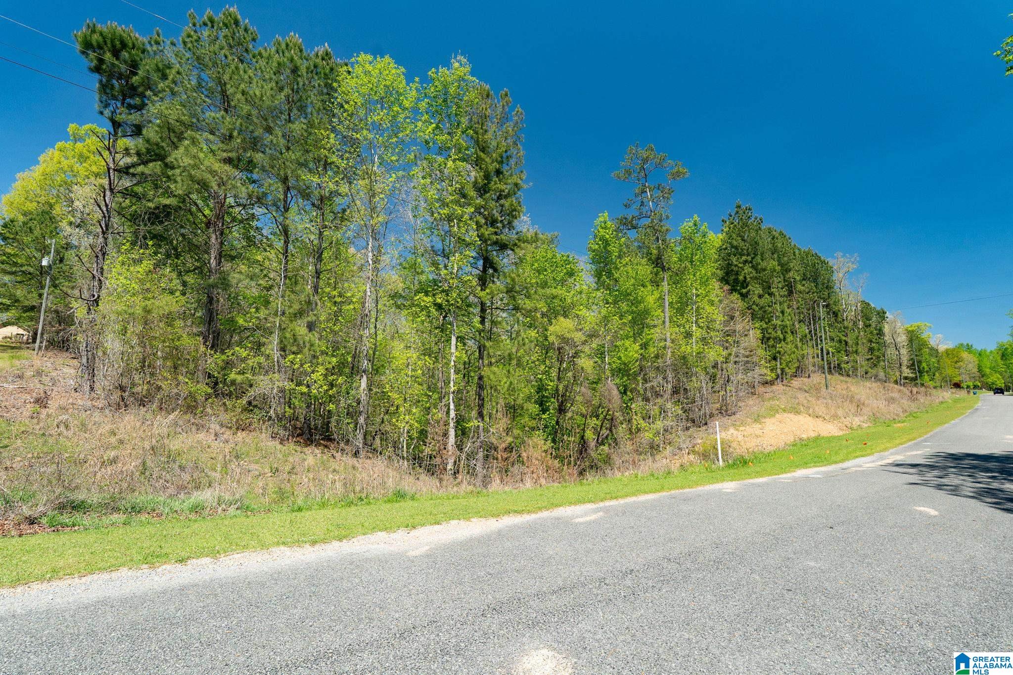 Homes for sale in Pell City, AL | 620 Mountain Crest Dr, Pell City, AL 35128 | MLS# 21449538