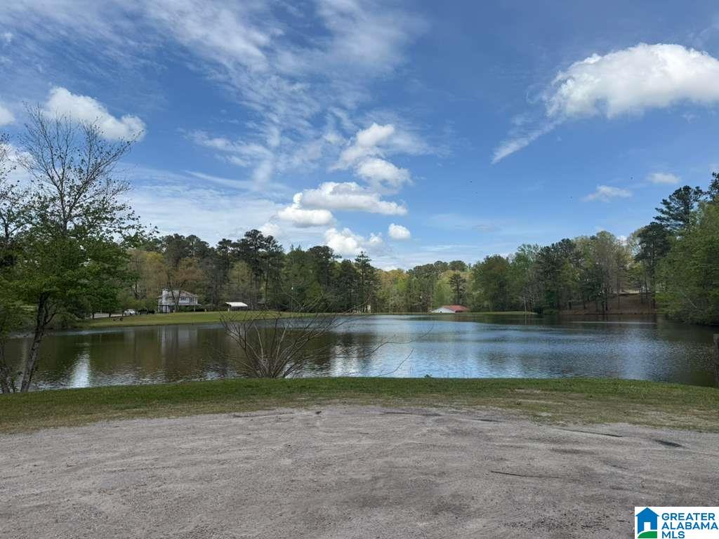 Homes for sale in Lakeview, AL | Vicki Dr, Lakeview, AL 35111 | MLS# 21449573