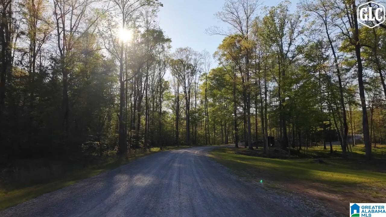 4th image of 100 Heritage Pines Boulevard, Columbiana, AL 35051 | MLS# 21449609