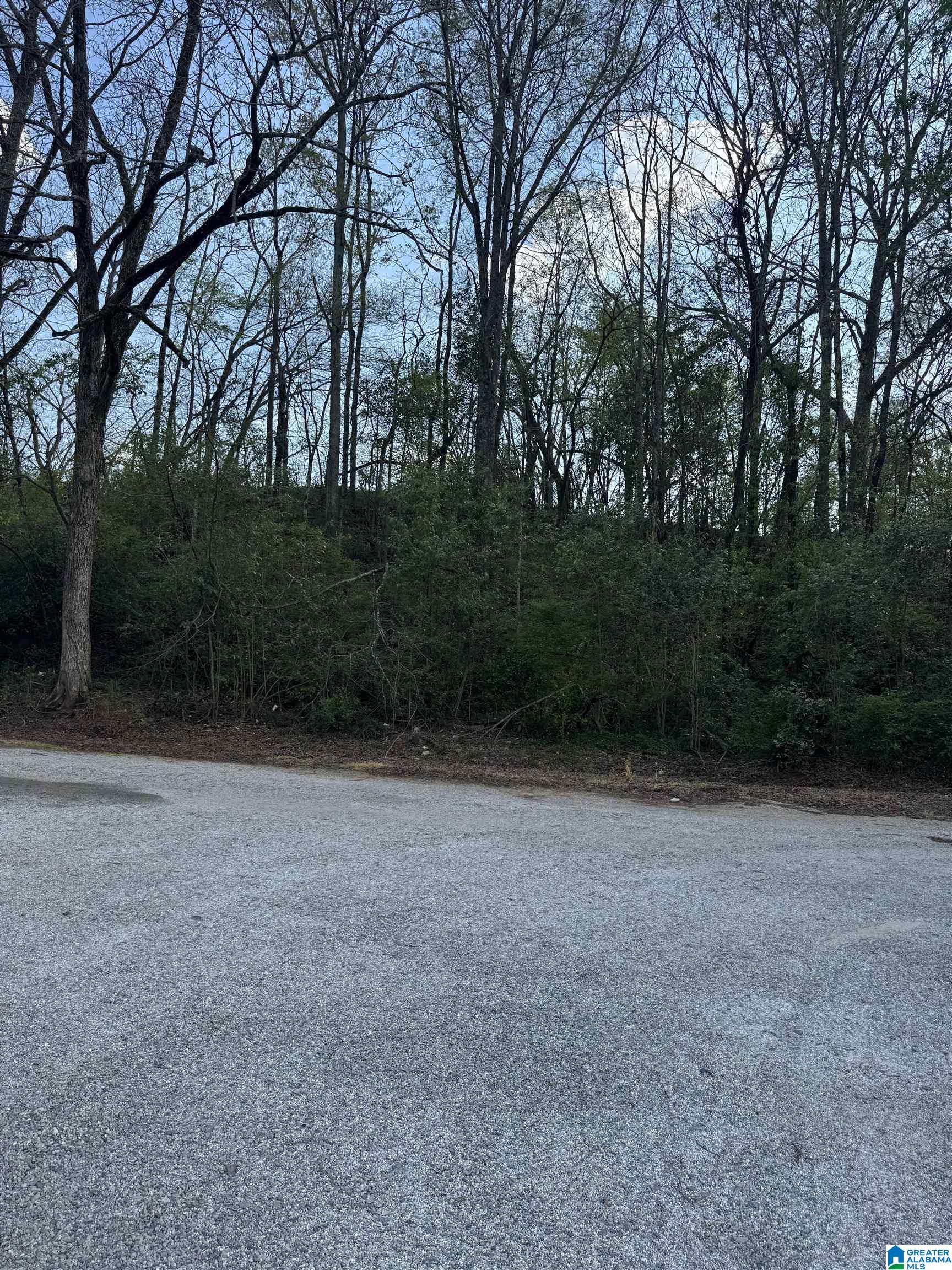 Homes for sale in Talladega, AL | 0 Court Street N, Talladega, AL 35160 | MLS# 21449665