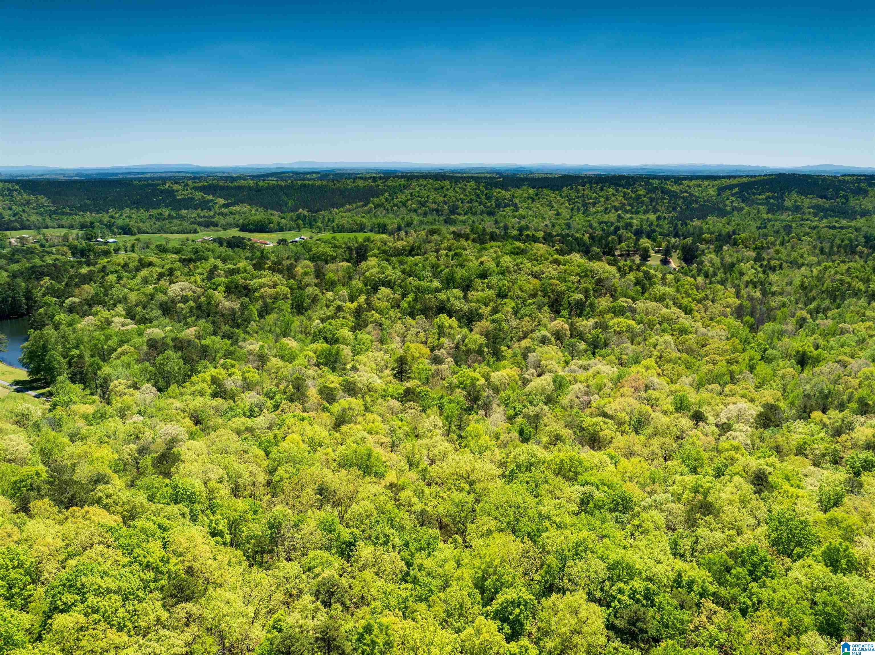 Homes for sale in Ashville, AL | 0 Pike Hill Road, Ashville, AL 35953 | MLS# 21449738