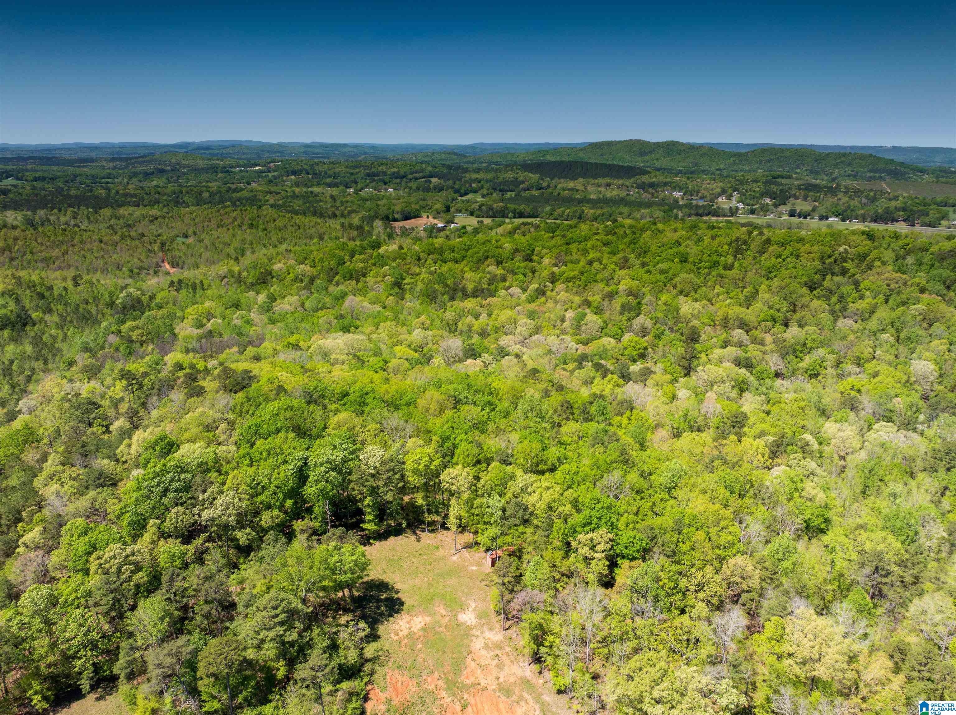 Homes for sale in Ashville, AL | 0 Pike Hill Road, Ashville, AL 35953 | MLS# 21449738