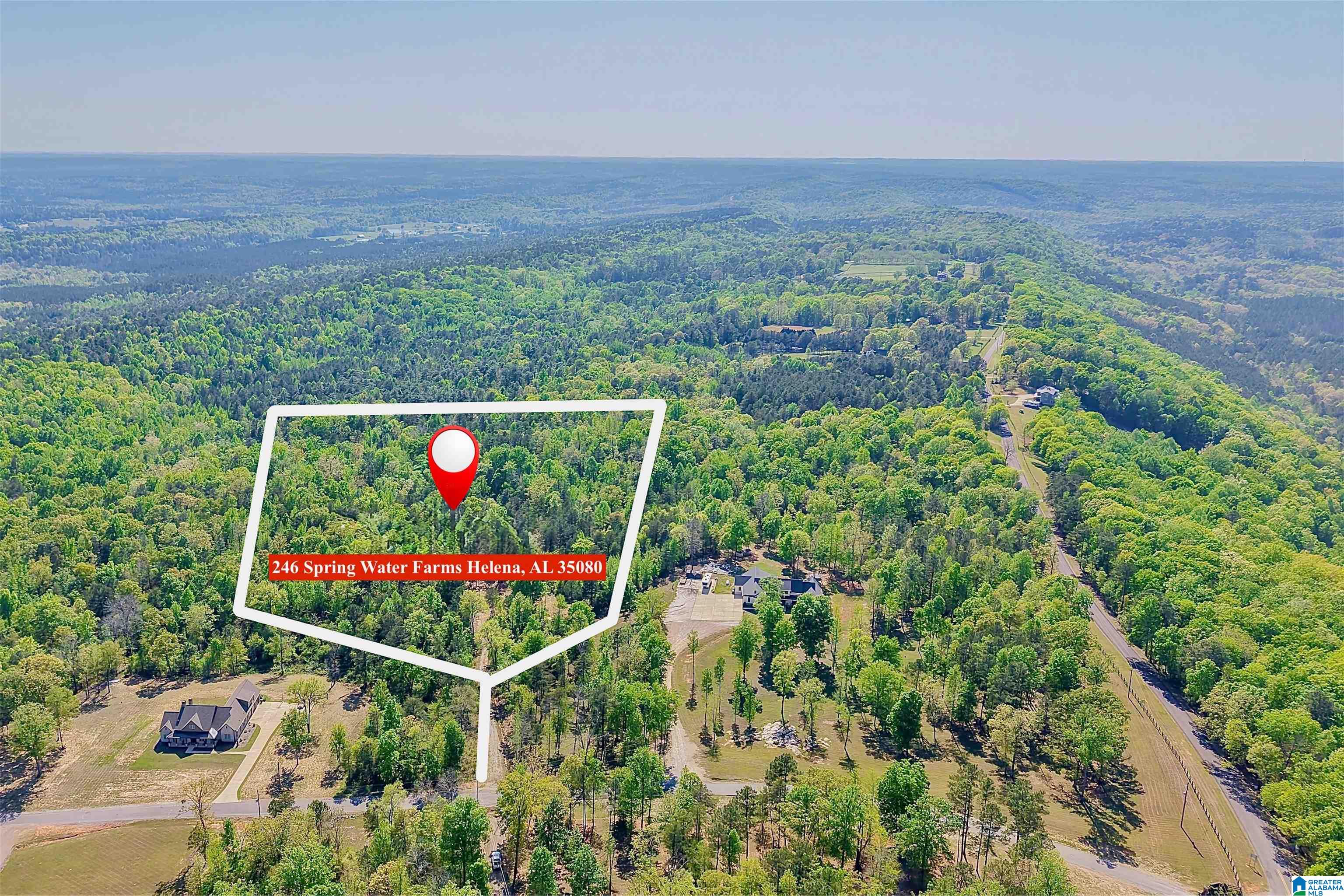Homes for sale in Helena, AL | 246 Spring Water Farms, Helena, AL 35022 | MLS# 21449750