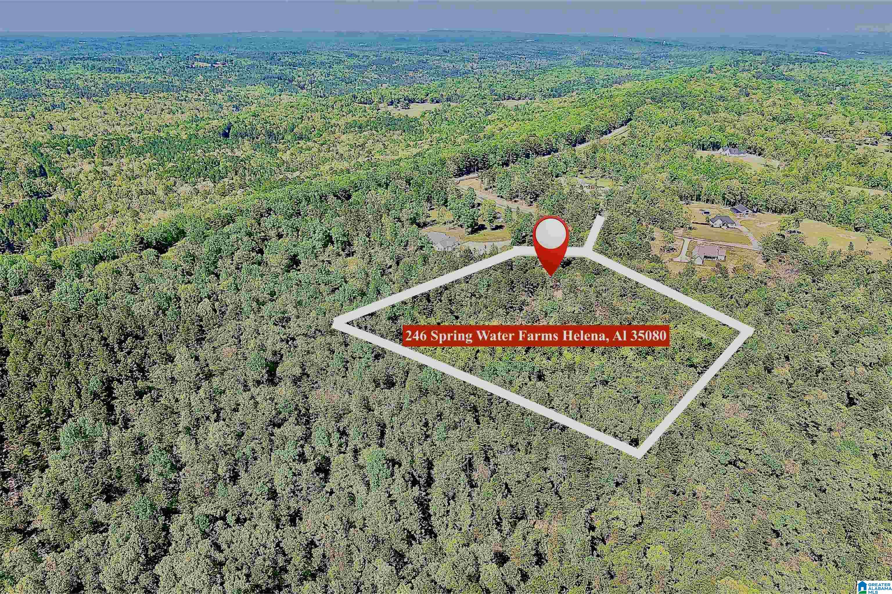 Homes for sale in Helena, AL | 246 Spring Water Farms, Helena, AL 35022 | MLS# 21449750