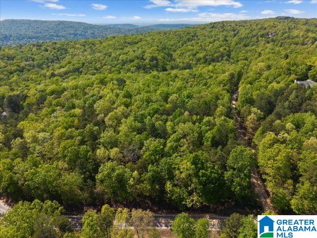 1st image of 8810 Pine Mountain Road, Pinson, AL 35126 | MLS# 21449780