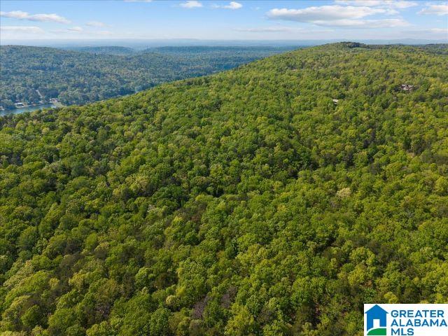 2nd image of 8810 Pine Mountain Road, Pinson, AL 35126 | MLS# 21449780