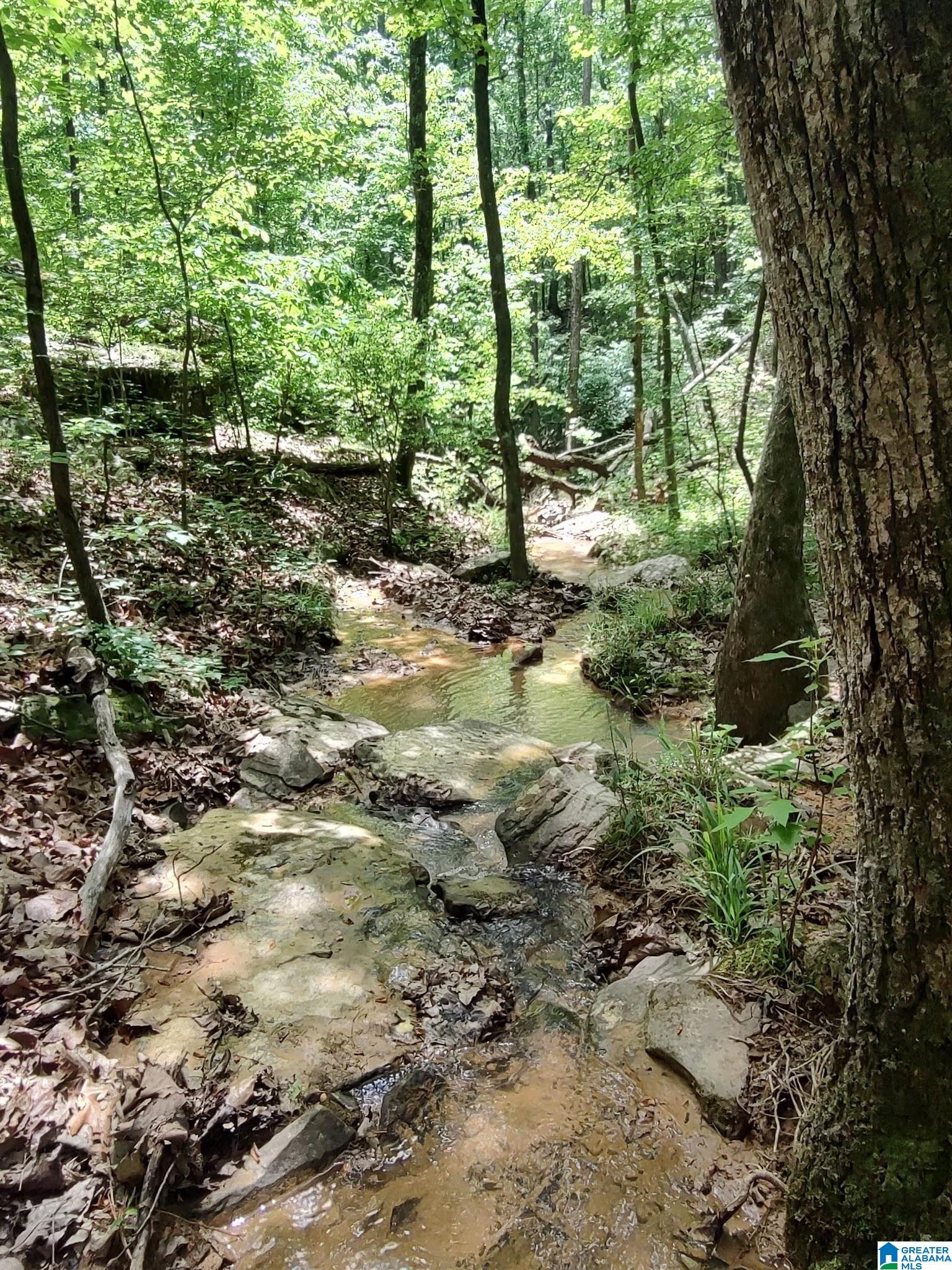 16th image of 8810 Pine Mountain Road, Pinson, AL 35126 | MLS# 21449780