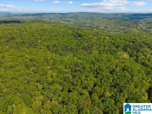 3rd image of 8810 Pine Mountain Road, Pinson, AL 35126 | MLS# 21449780