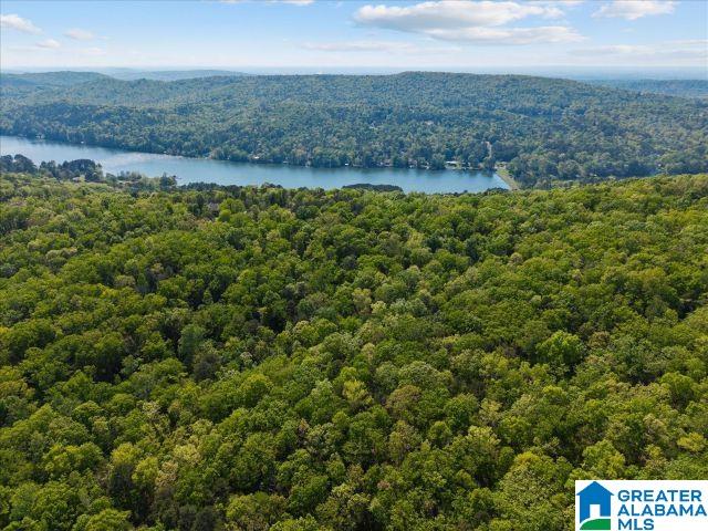 4th image of 8810 Pine Mountain Road, Pinson, AL 35126 | MLS# 21449780
